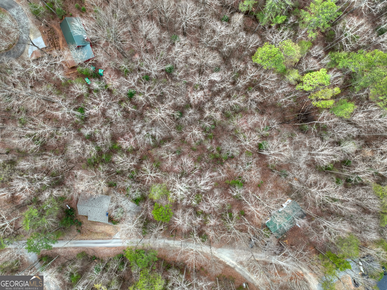 0 Ridge View Court Ellijay GA 30536
