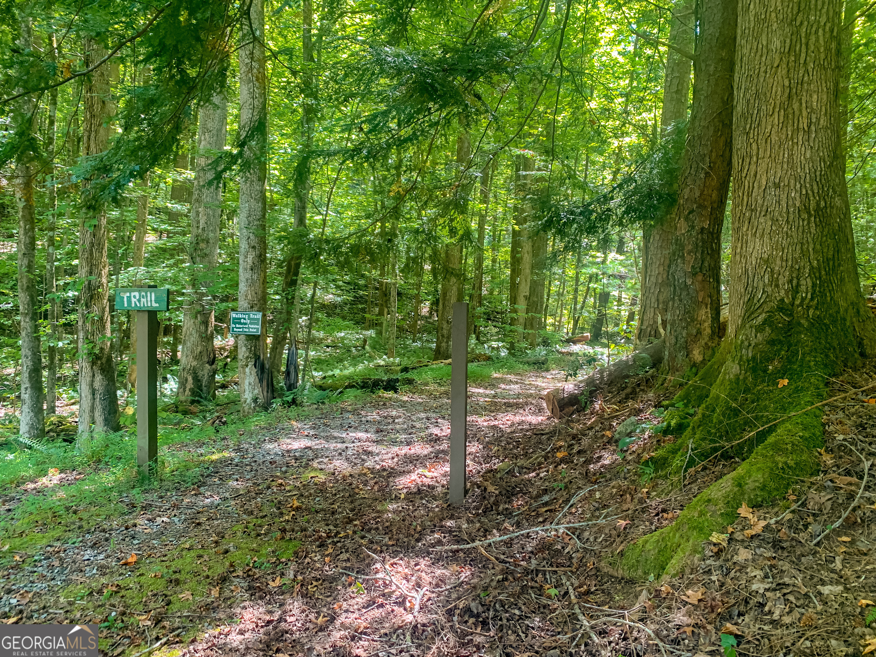 0 Ridge View Court Ellijay GA 30536