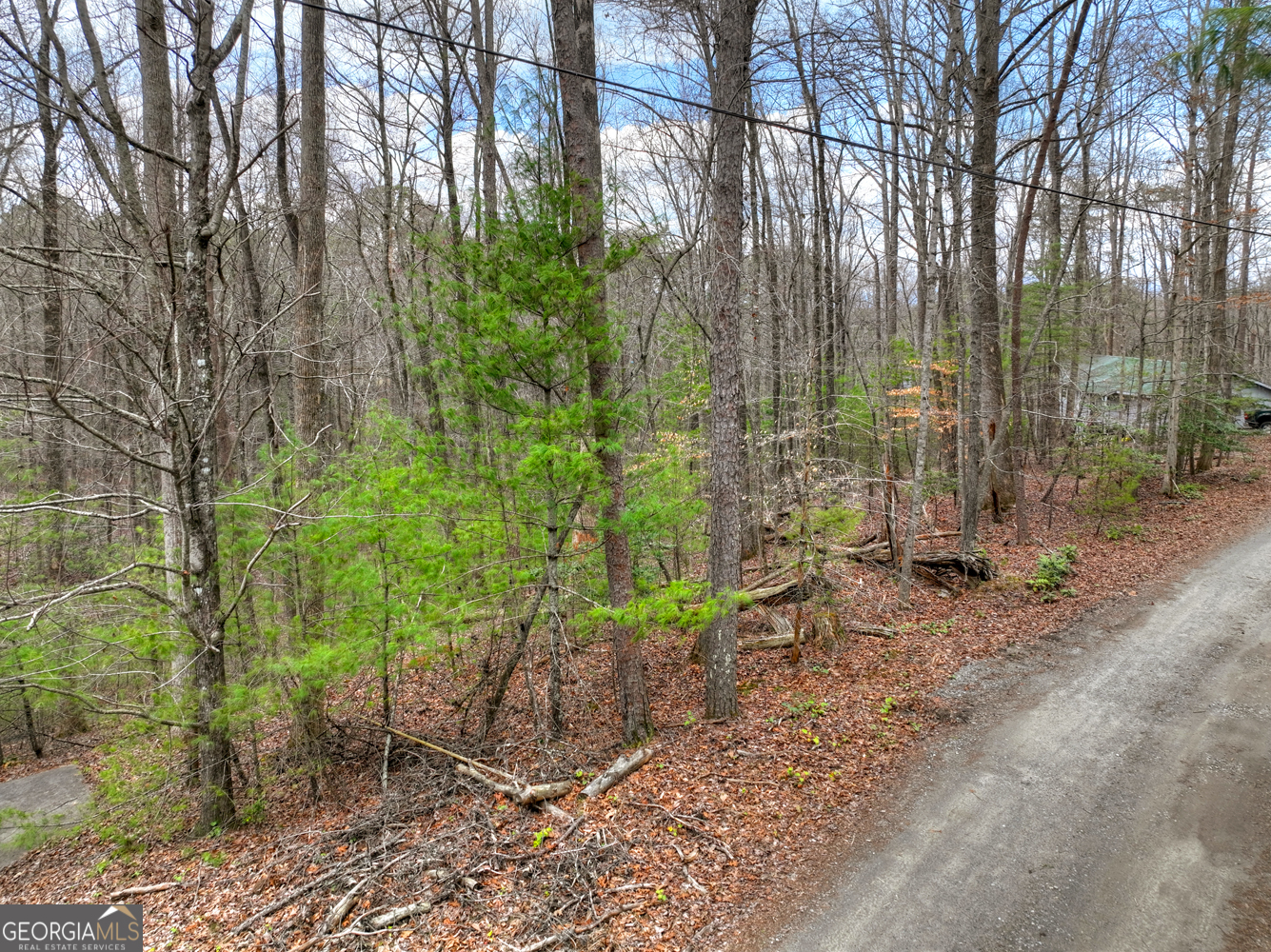 0 Ridge View Court Ellijay GA 30536