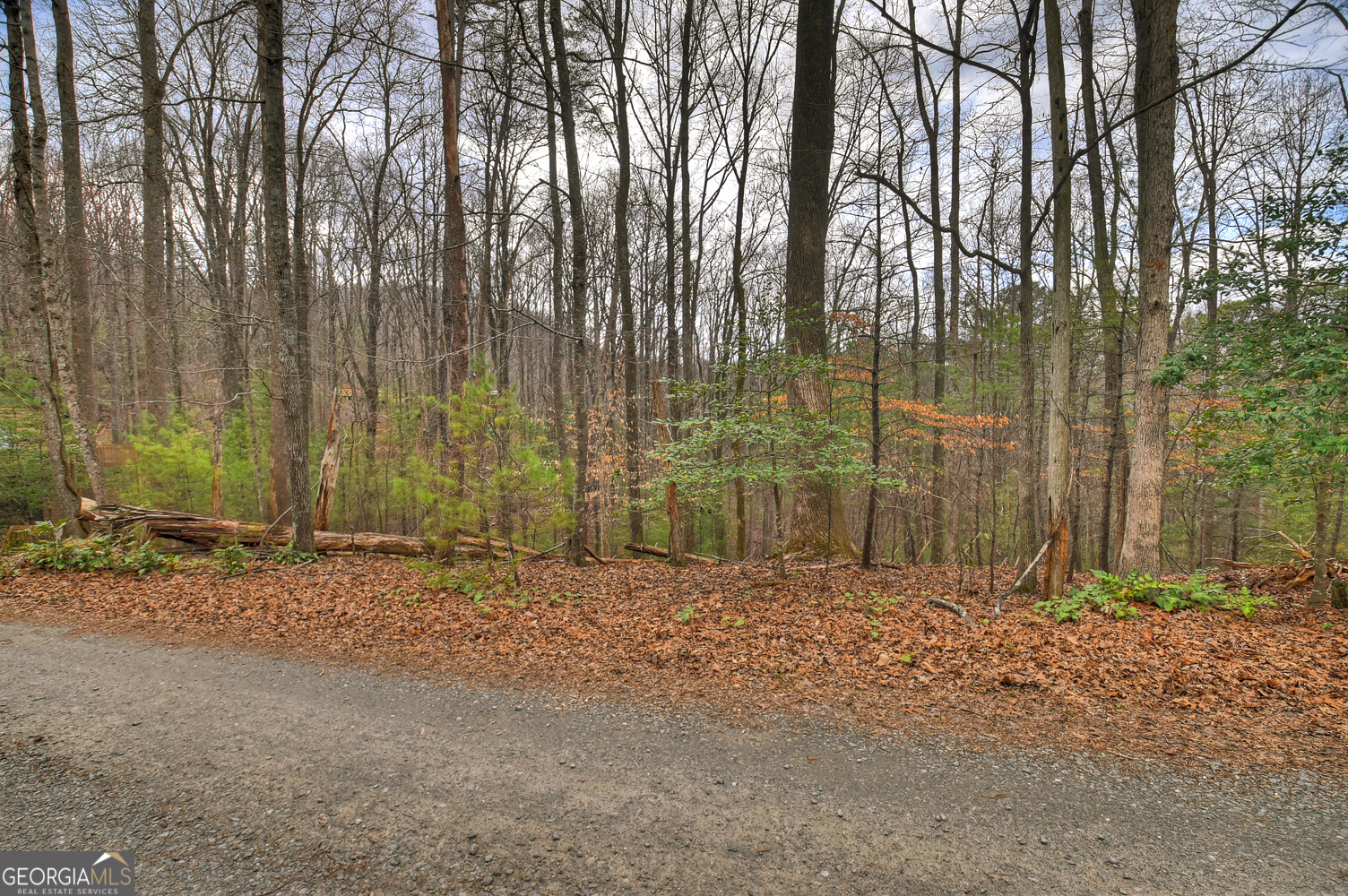 0 Ridge View Court Ellijay GA 30536