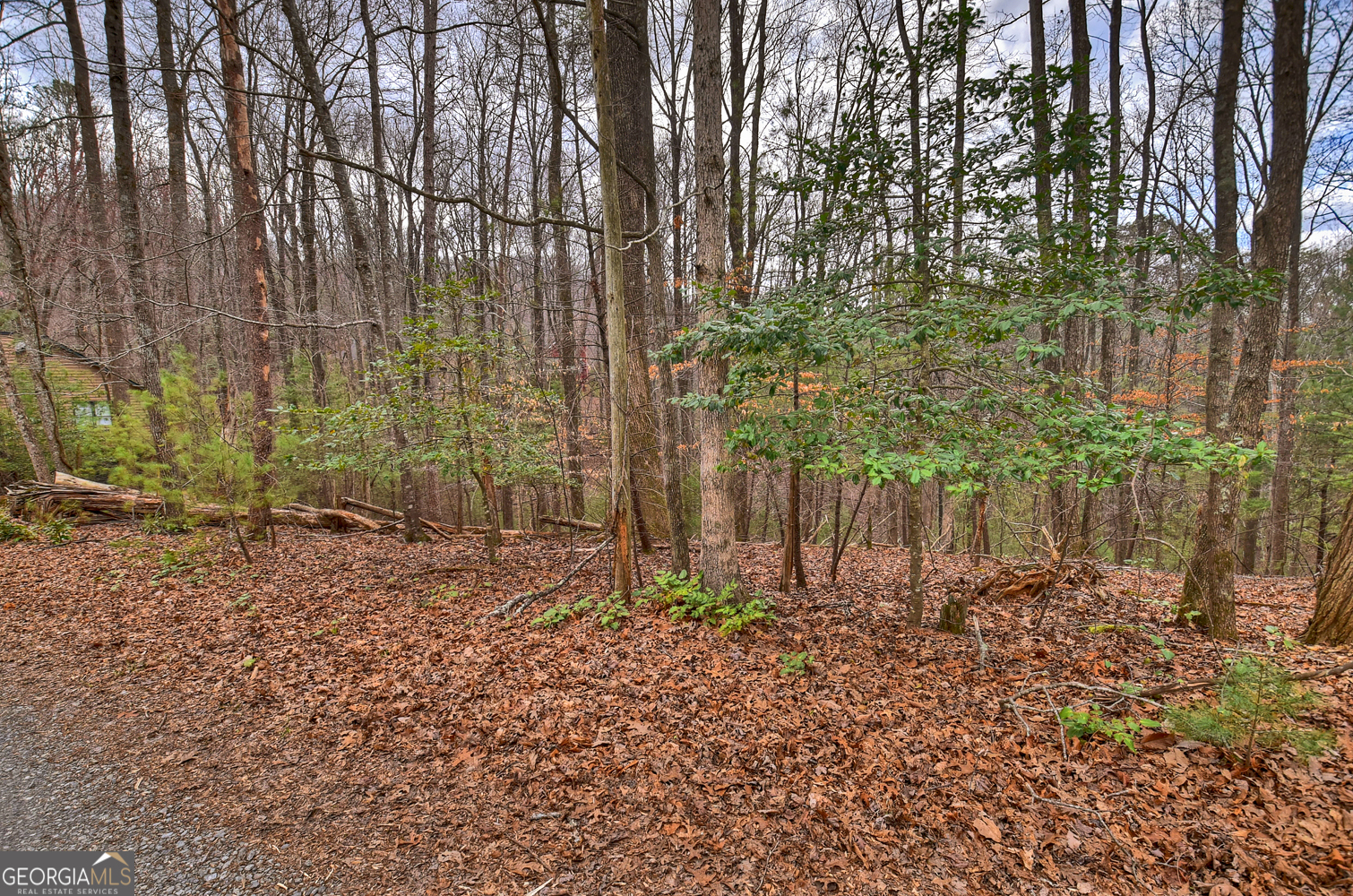 0 Ridge View Court Ellijay GA 30536