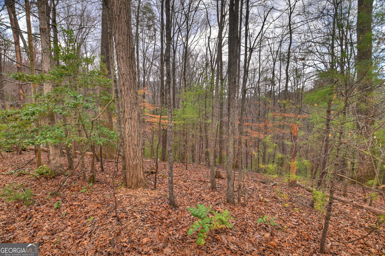 0 Ridge View Court Ellijay GA 30536