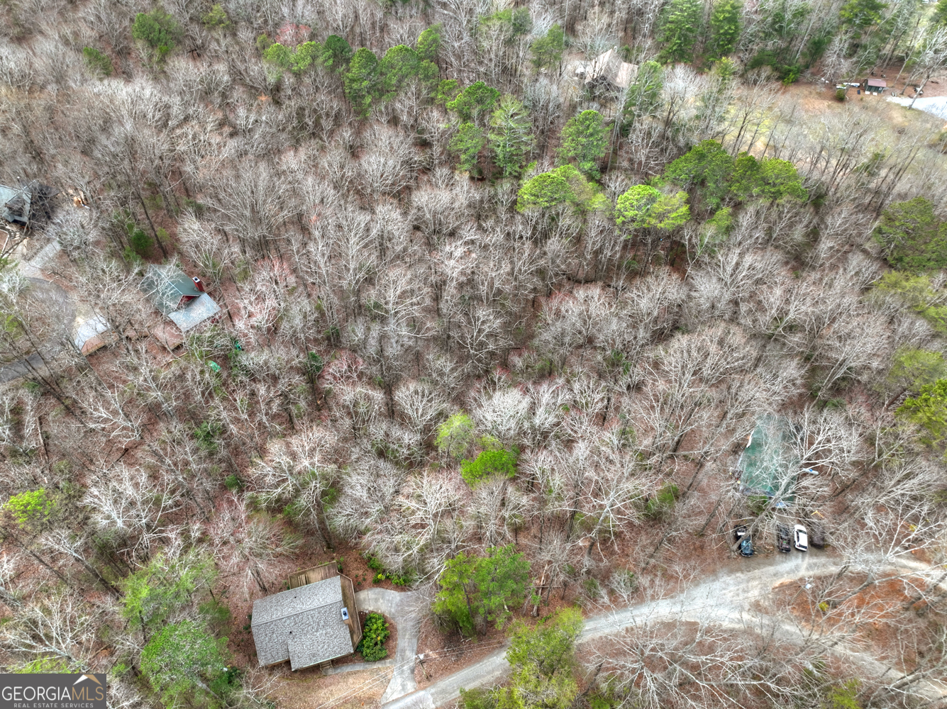 0 Ridge View Court Ellijay GA 30536