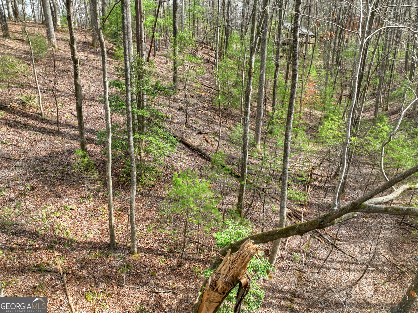 0 Ridge View Court Ellijay GA 30536