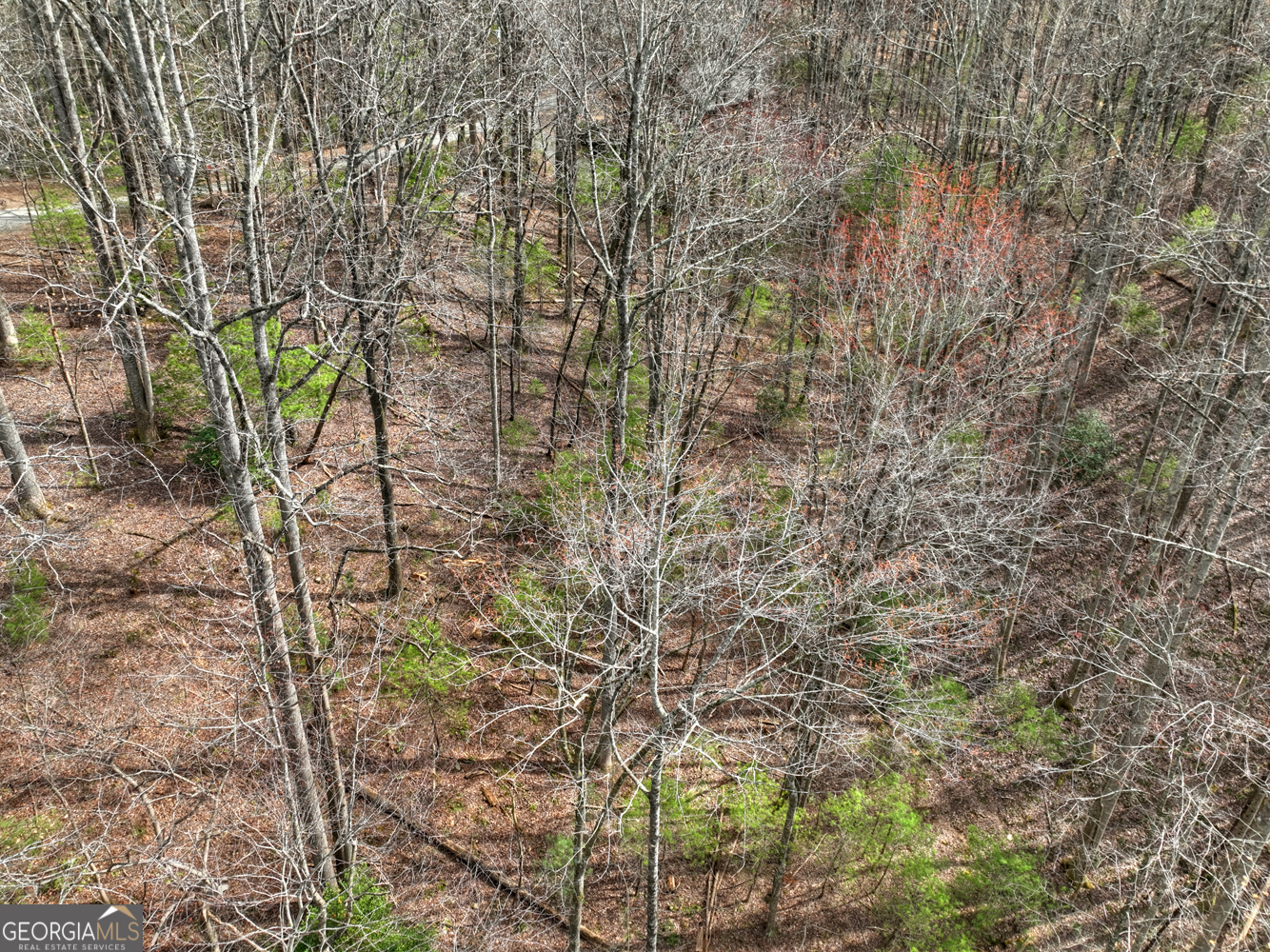 0 Ridge View Court Ellijay GA 30536