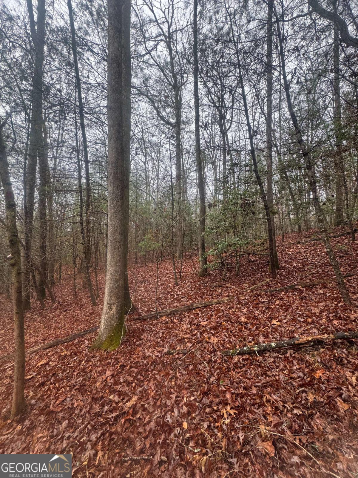 0 W Mountaintown Trail Ellijay GA 30540