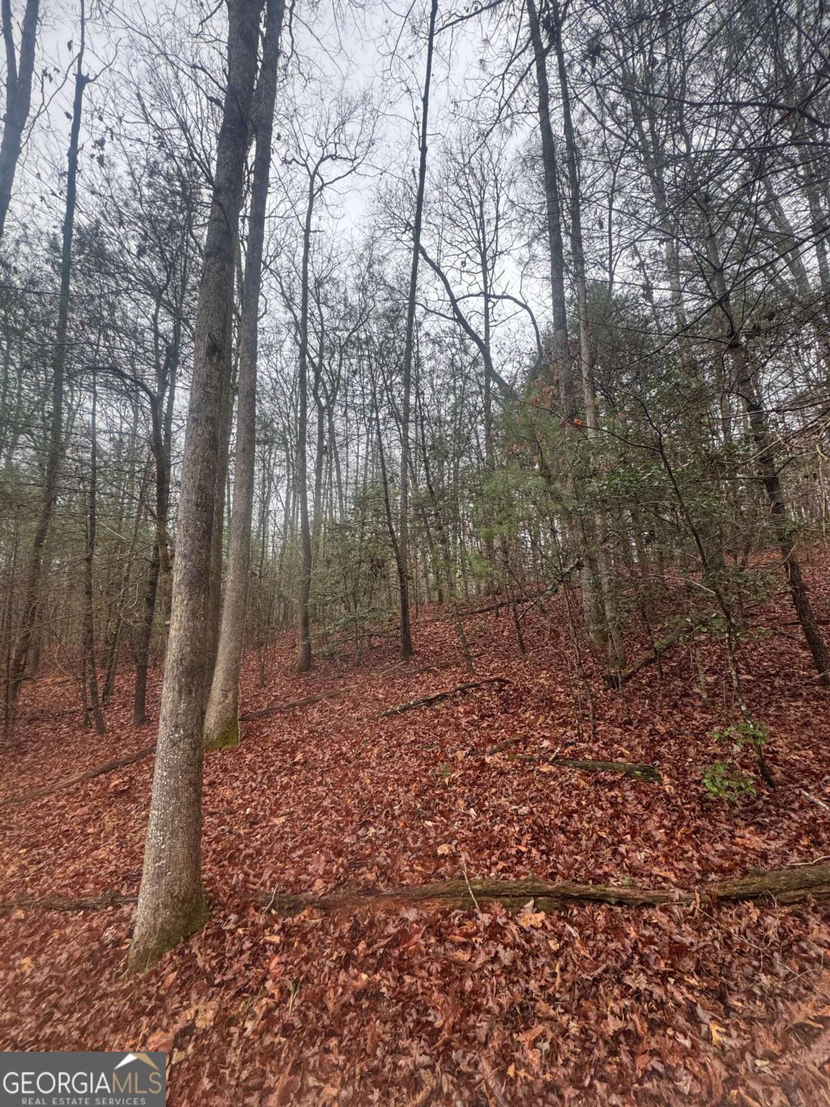 0 W Mountaintown Trail Ellijay GA 30540