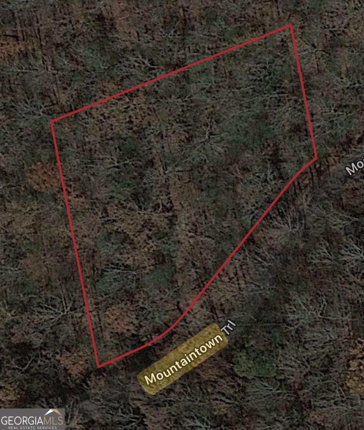 0 W Mountaintown Trail Ellijay GA 30540