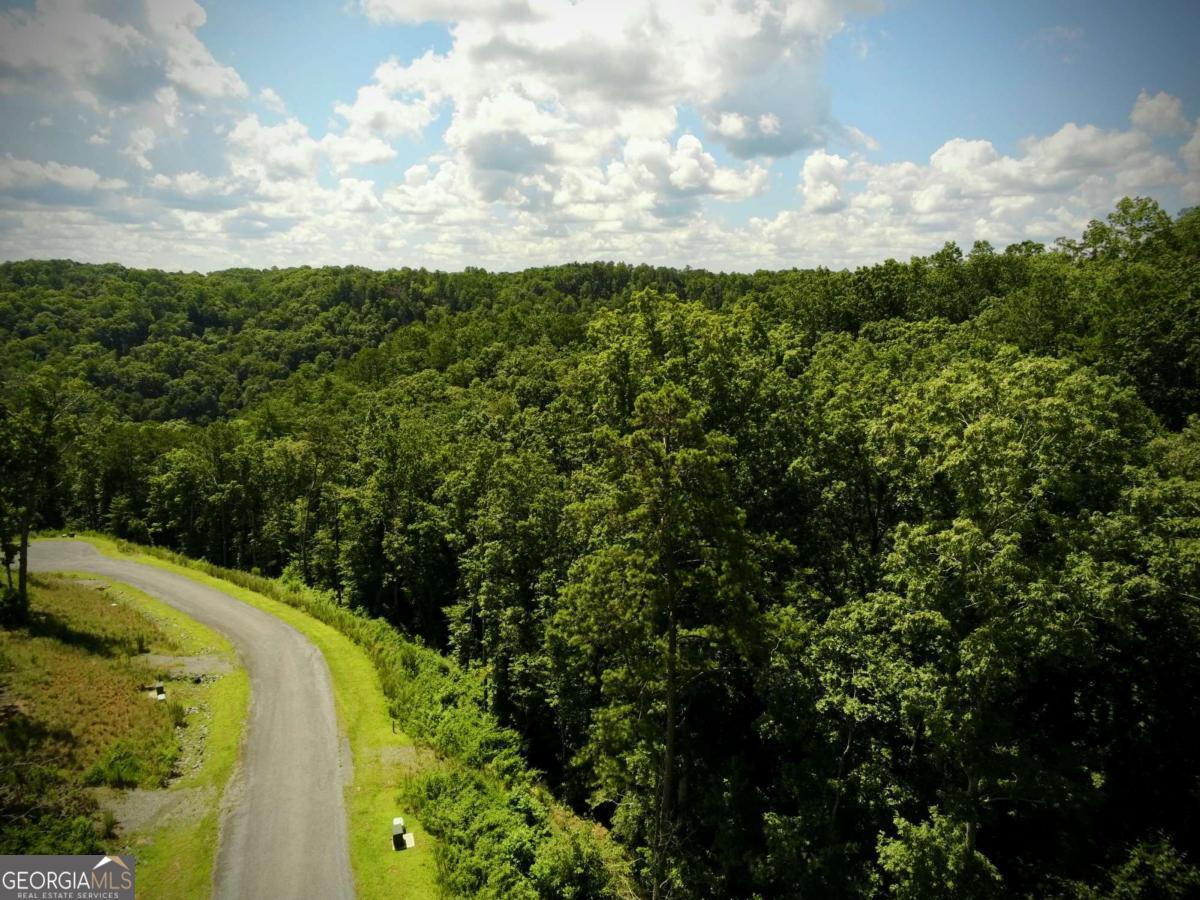 79 River Overlook Lane S Ellijay GA 30540