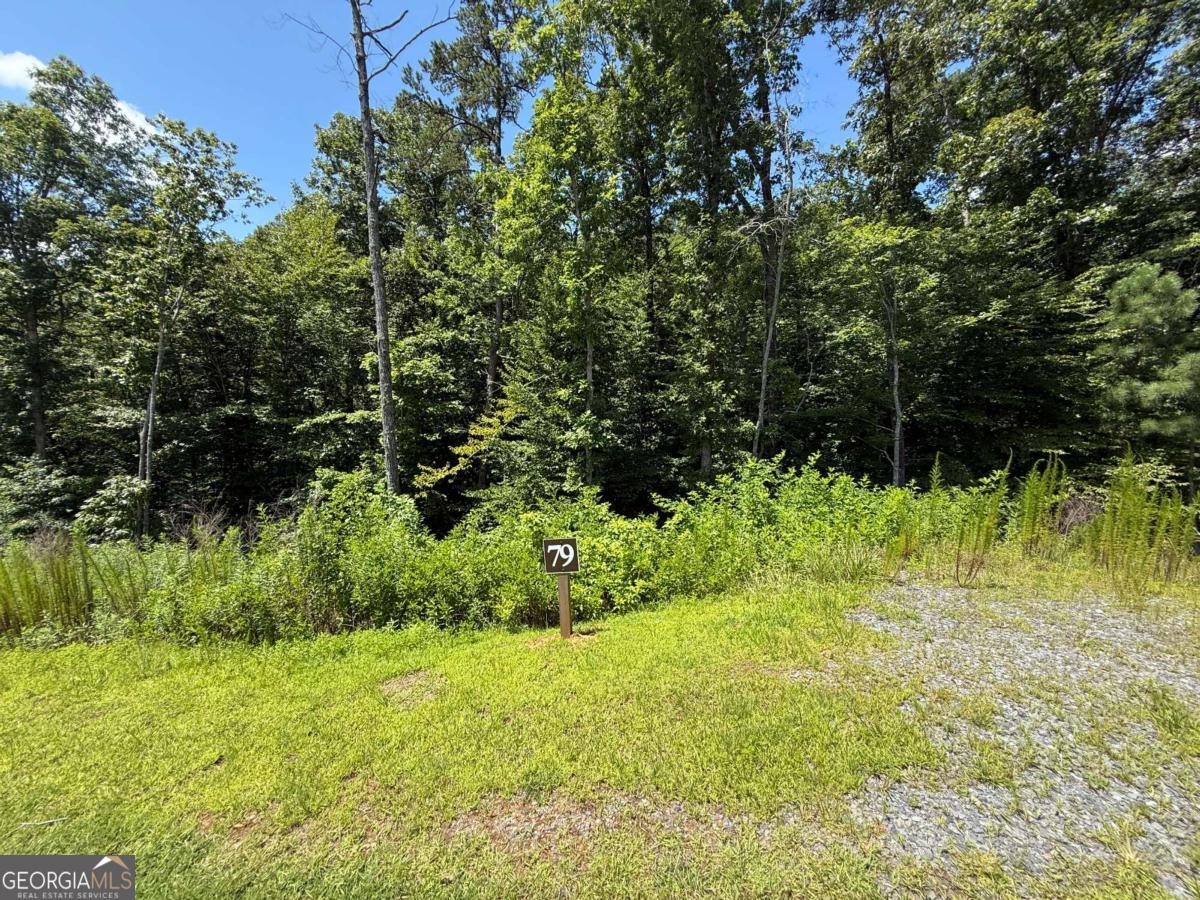 79 River Overlook Lane S Ellijay GA 30540
