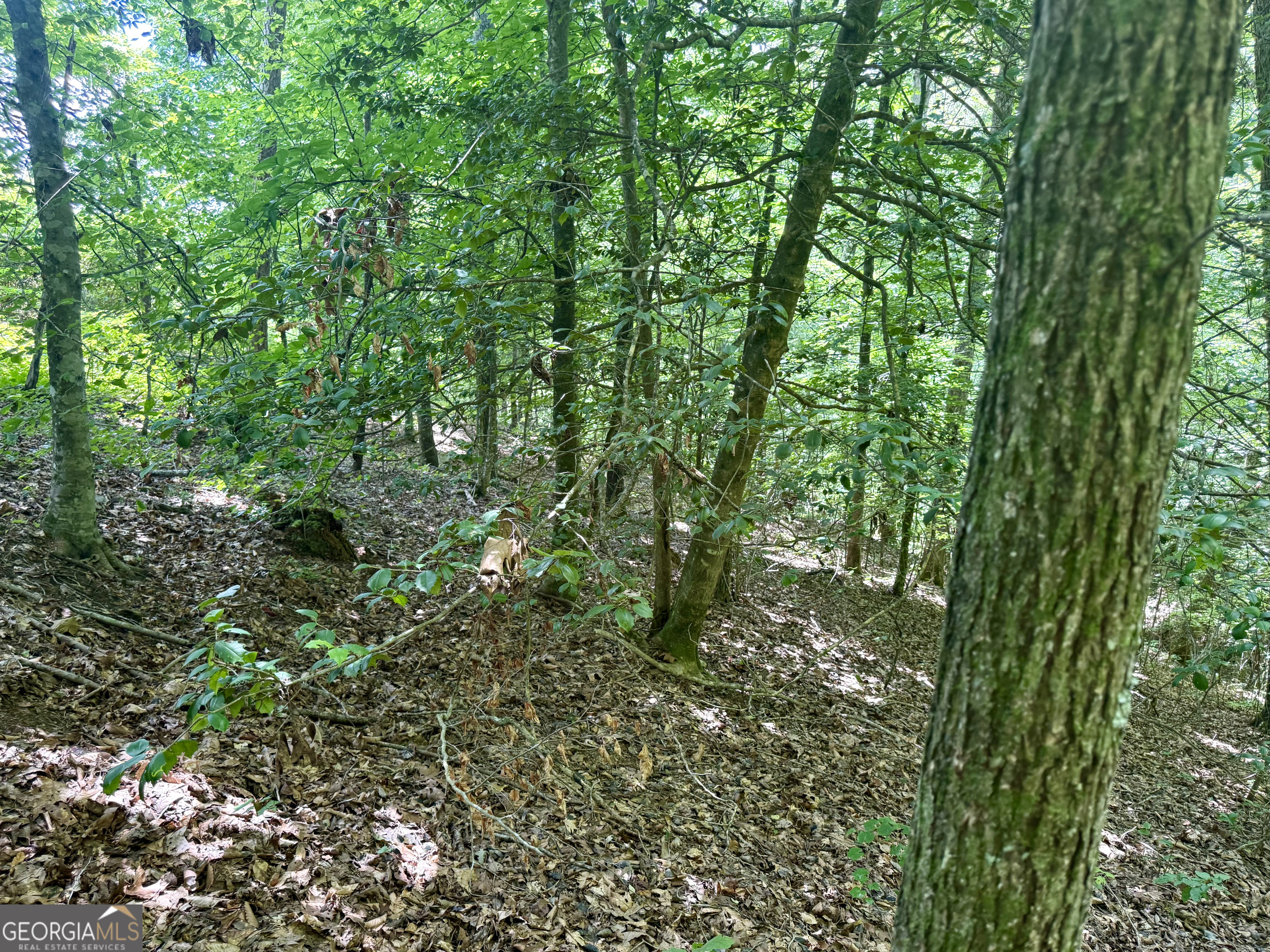 79 River Overlook Lane S Ellijay GA 30540