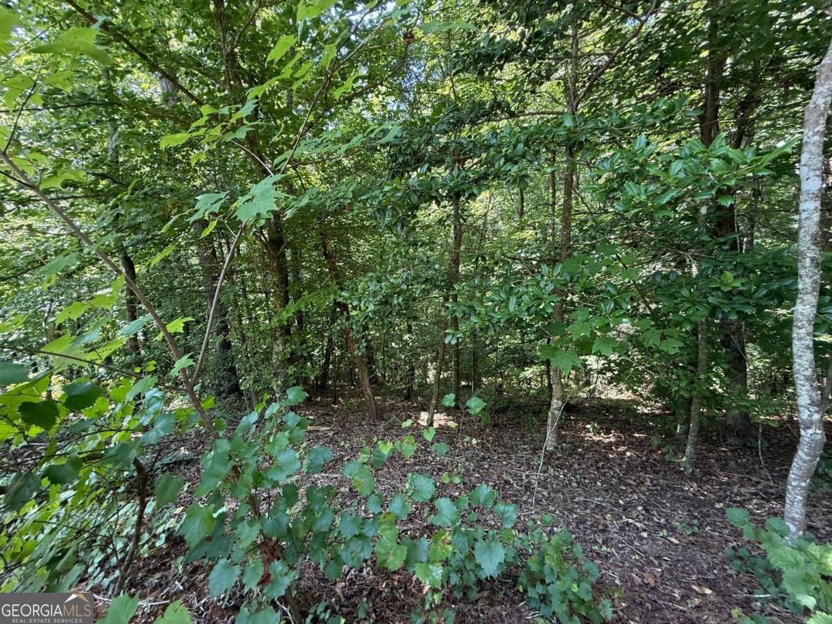 79 River Overlook Lane S Ellijay GA 30540