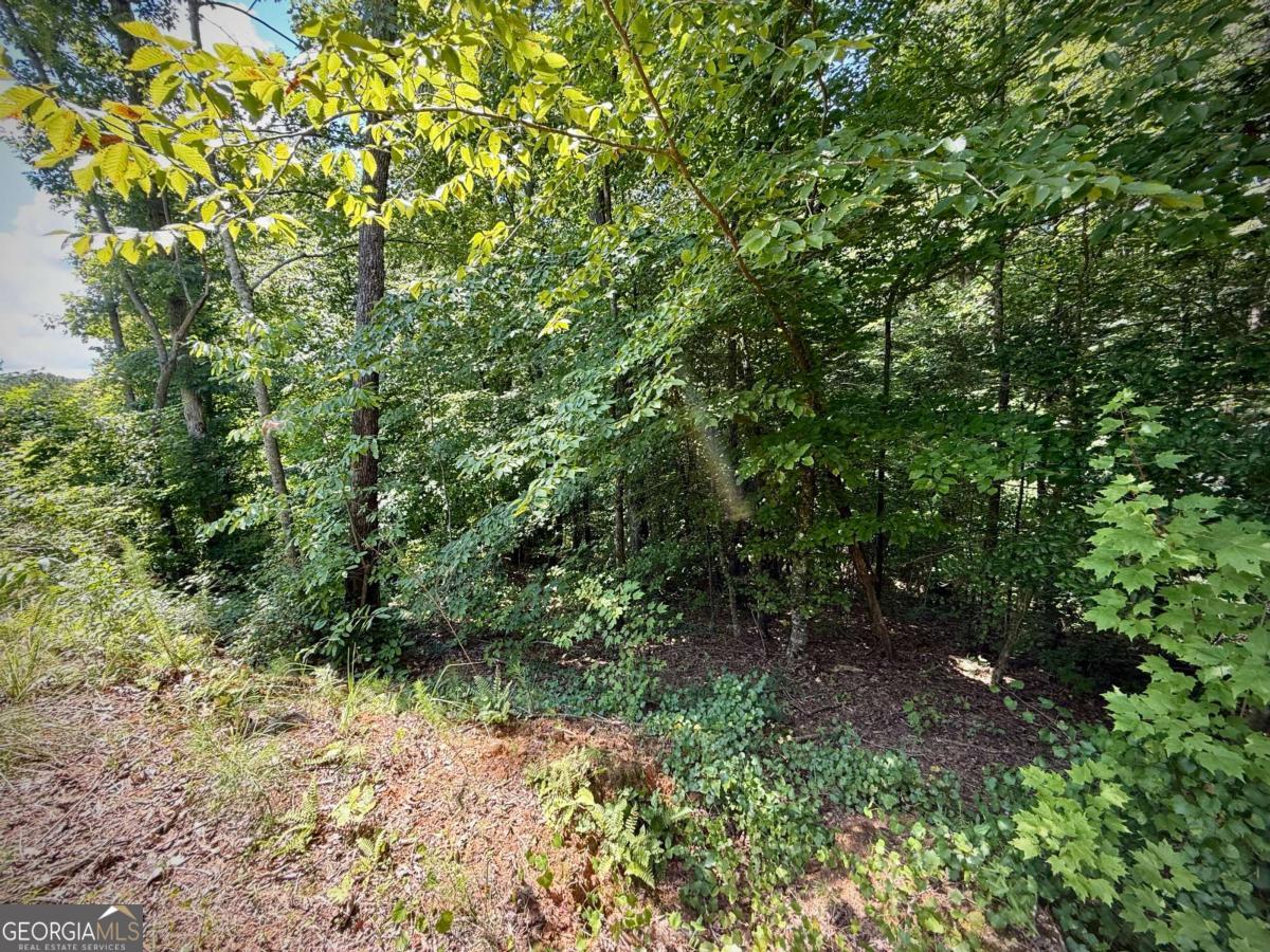79 River Overlook Lane S Ellijay GA 30540