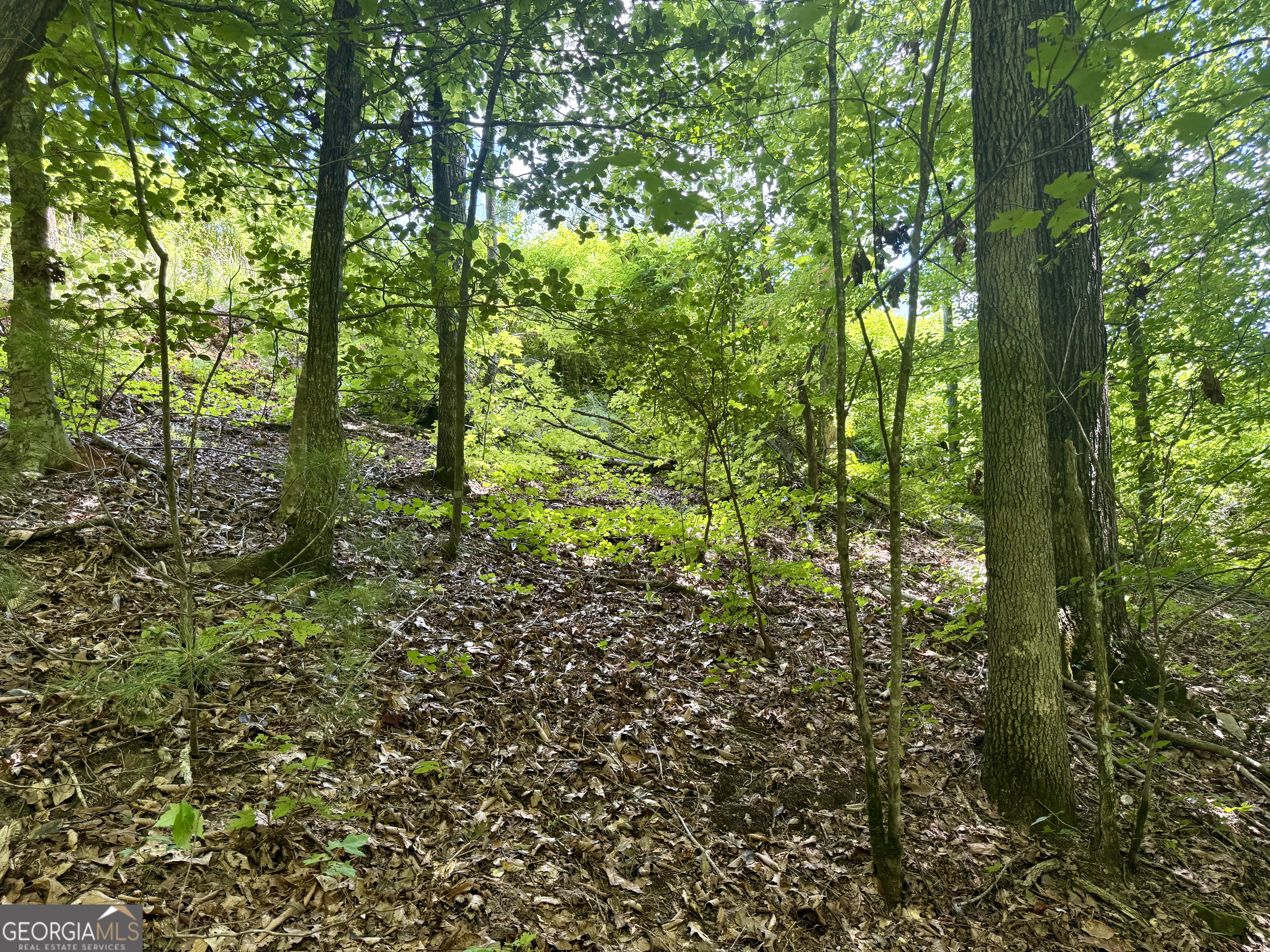 79 River Overlook Lane S Ellijay GA 30540