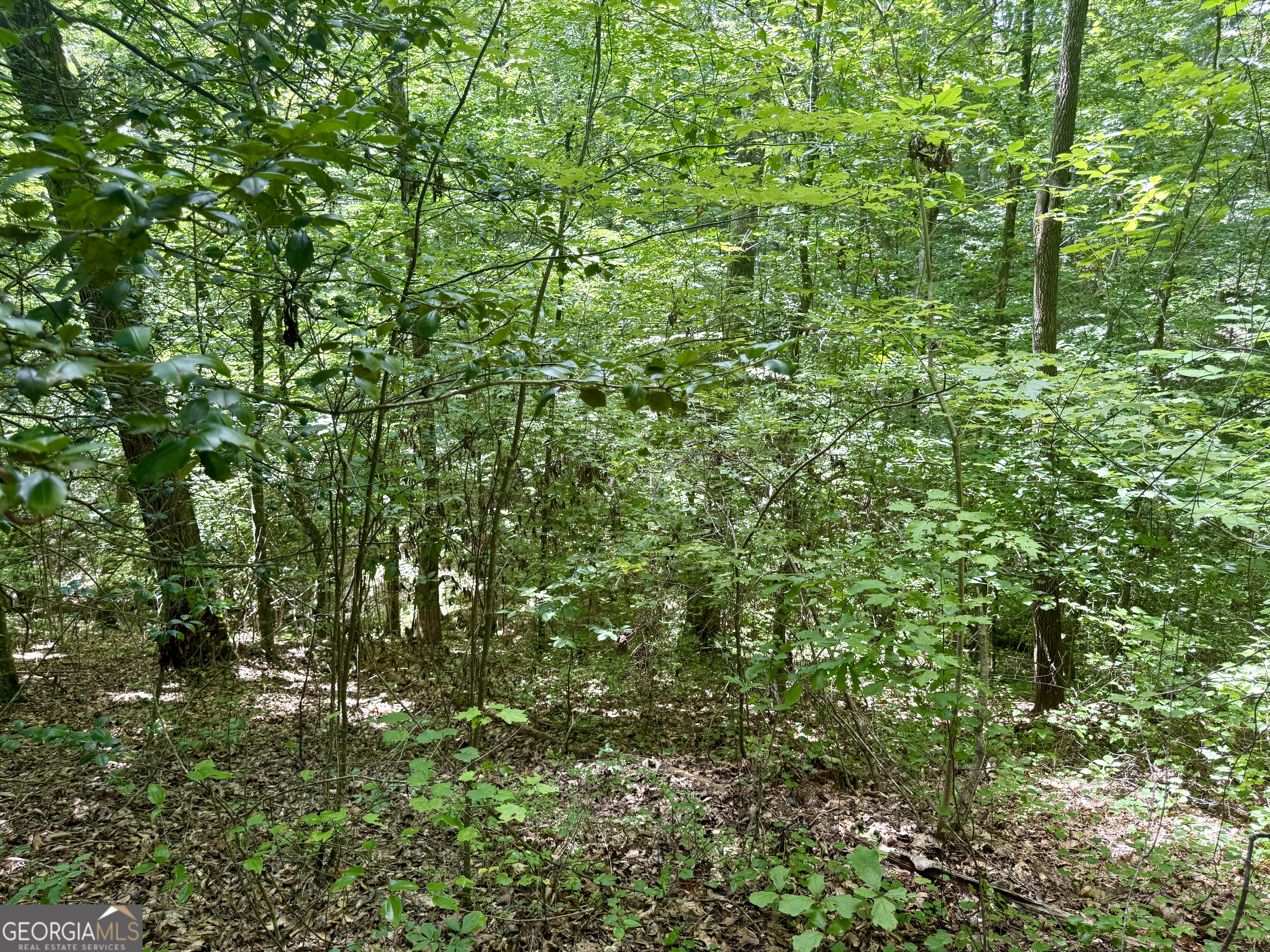 79 River Overlook Lane S Ellijay GA 30540