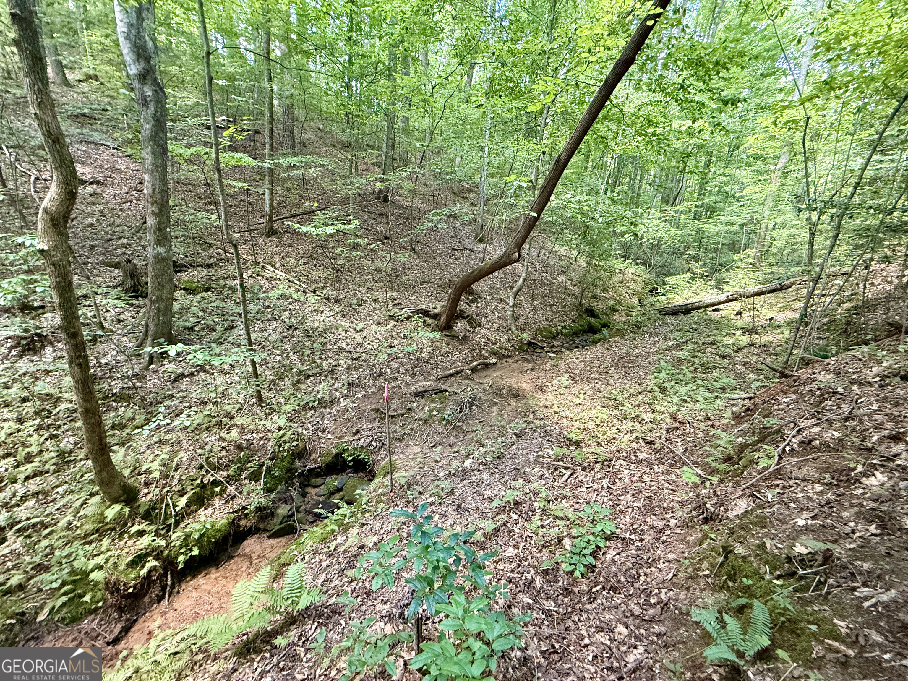 79 River Overlook Lane S Ellijay GA 30540