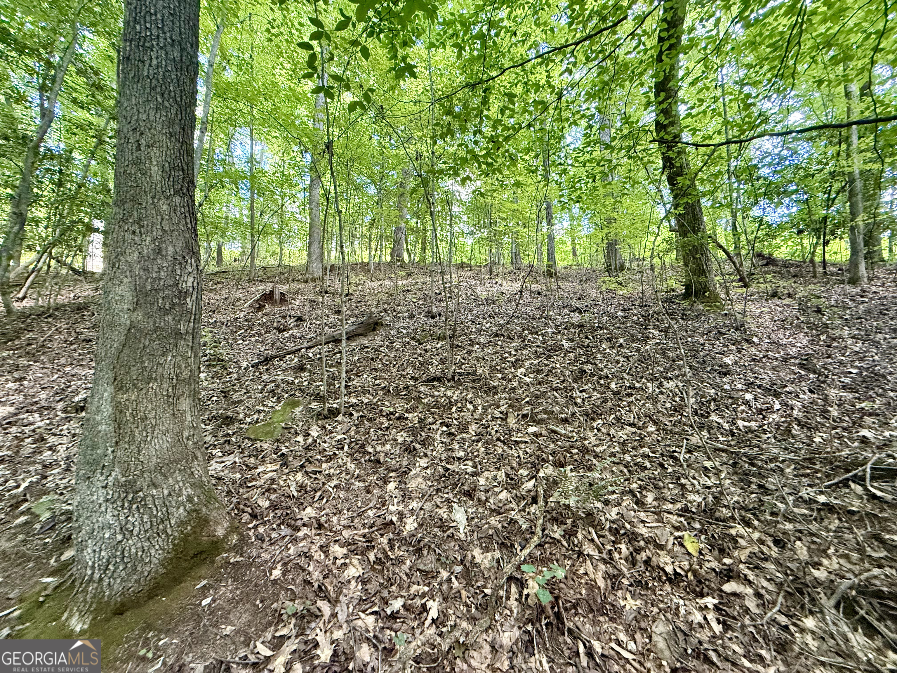 79 River Overlook Lane S Ellijay GA 30540