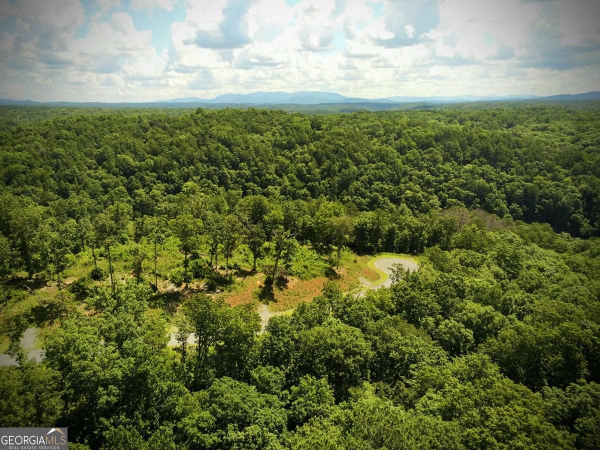 79 River Overlook Lane S Ellijay GA 30540