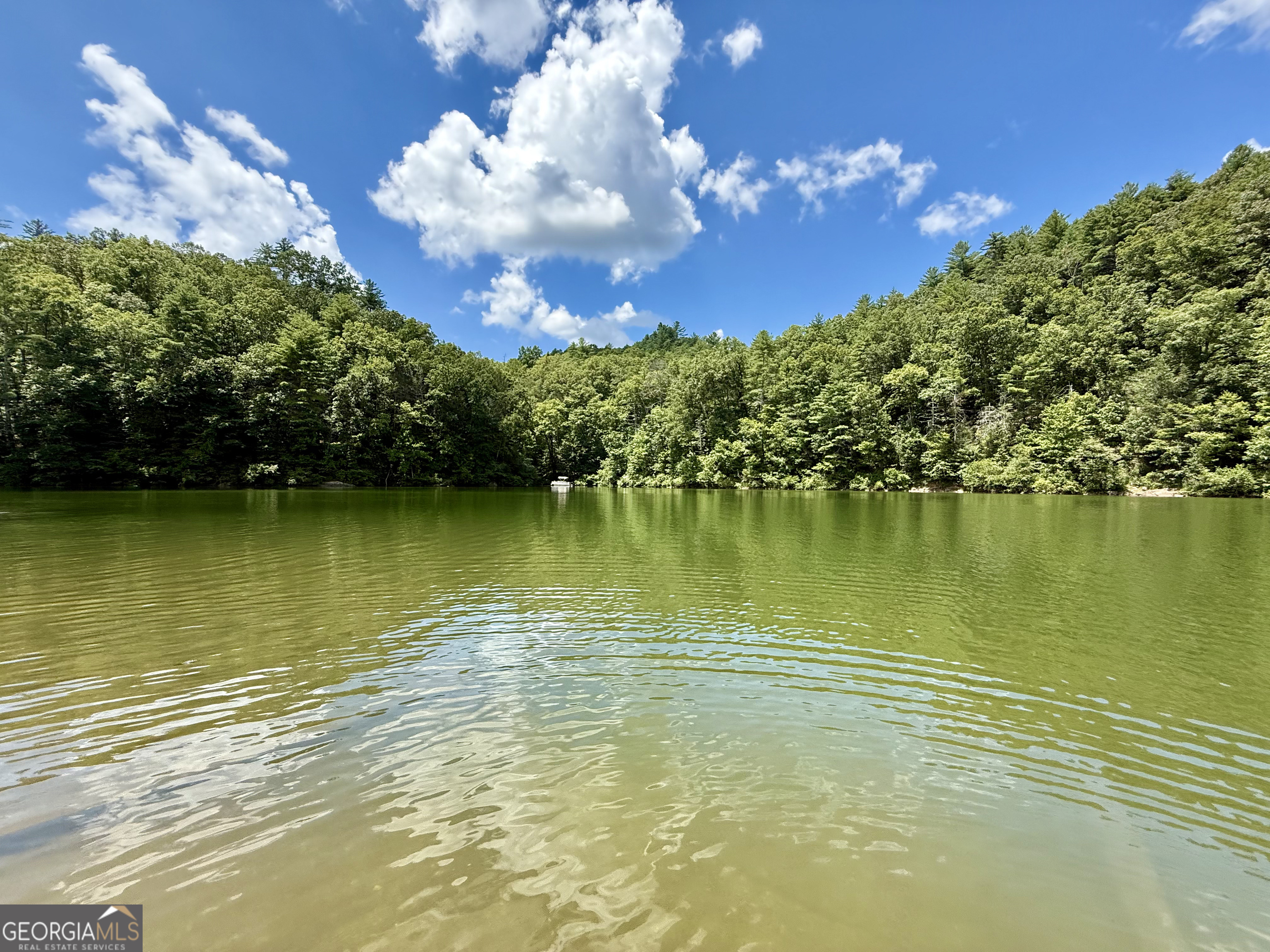 79 River Overlook Lane S Ellijay GA 30540