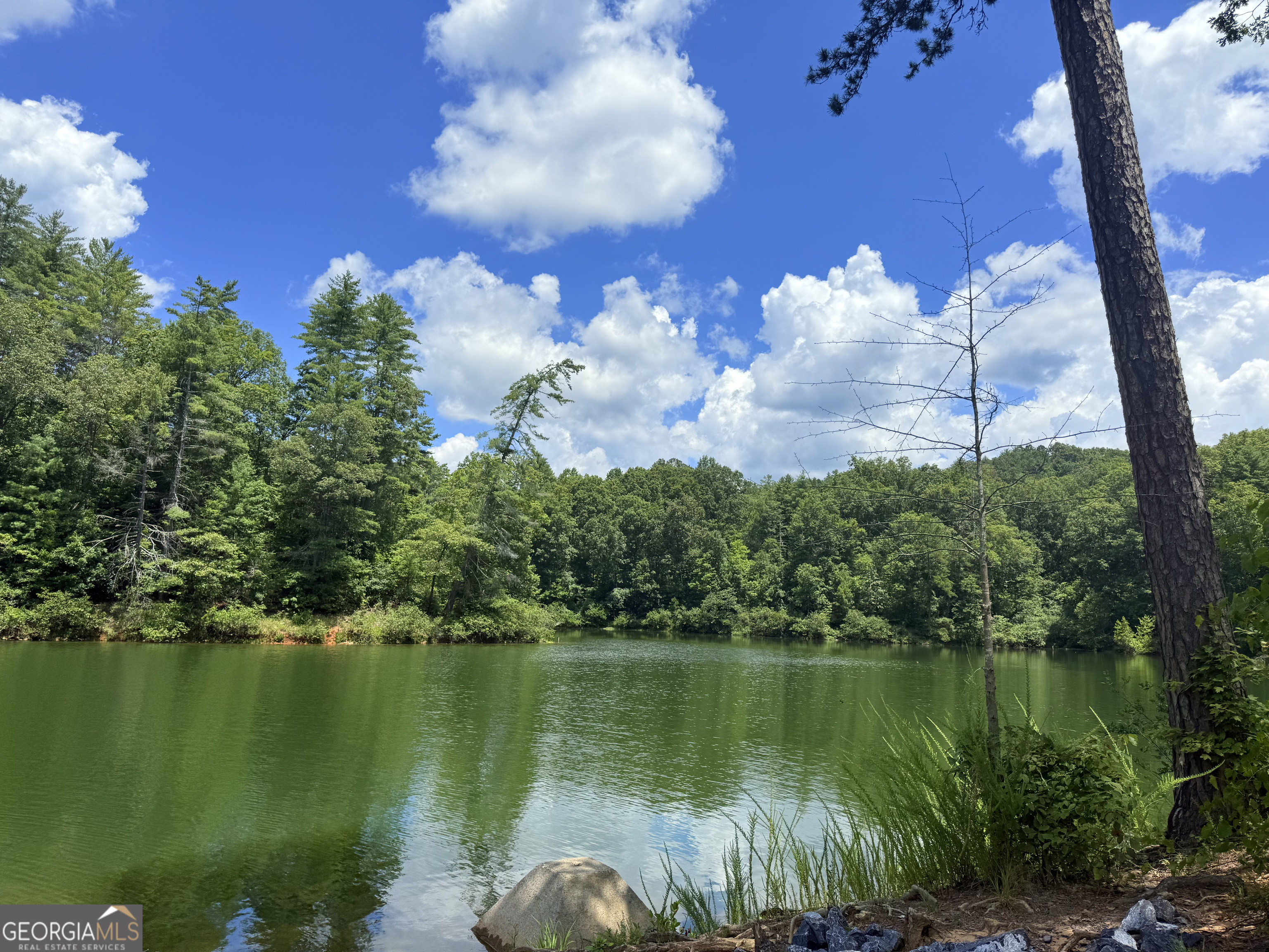 79 River Overlook Lane S Ellijay GA 30540