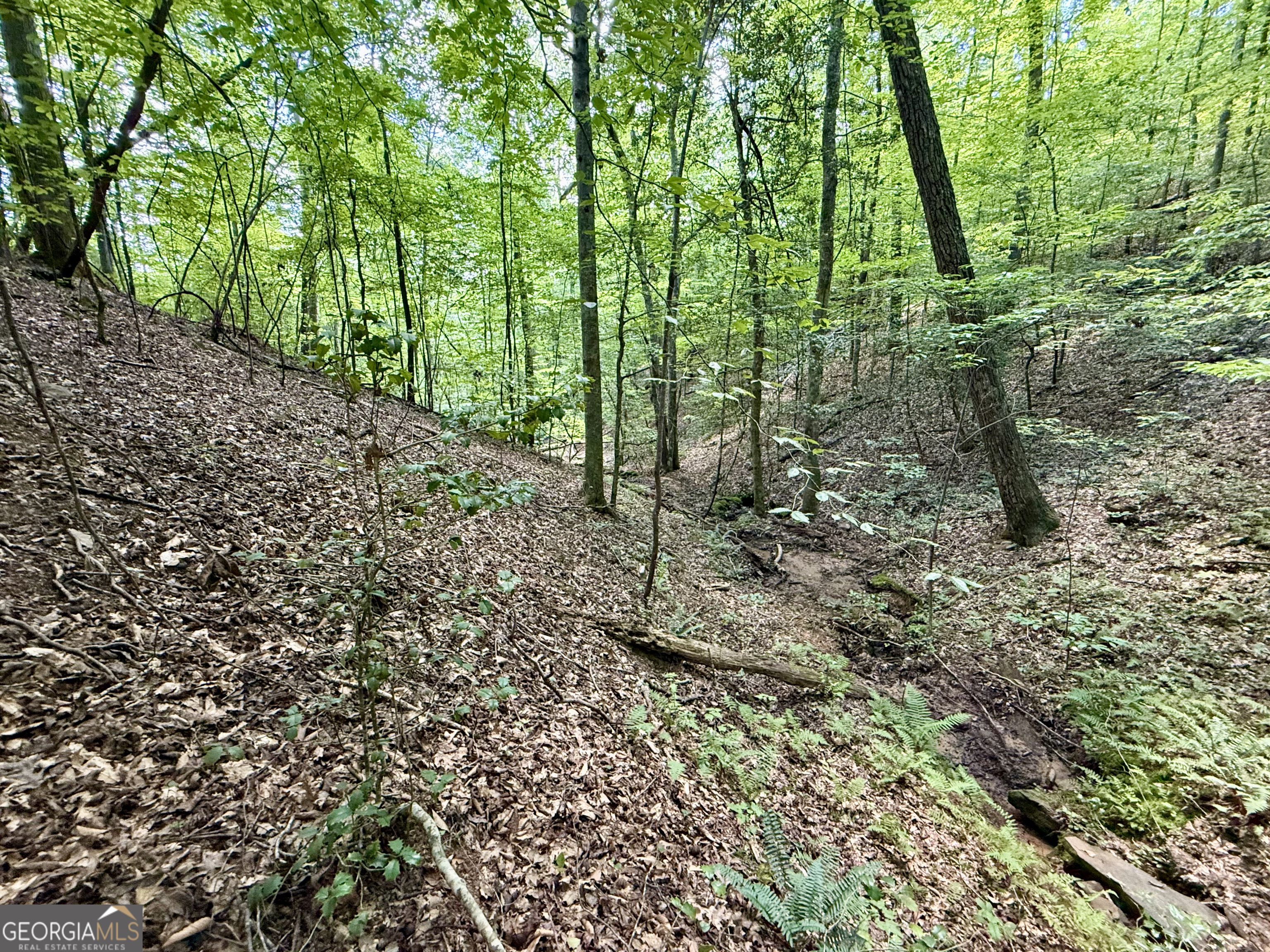 79 River Overlook Lane S Ellijay GA 30540