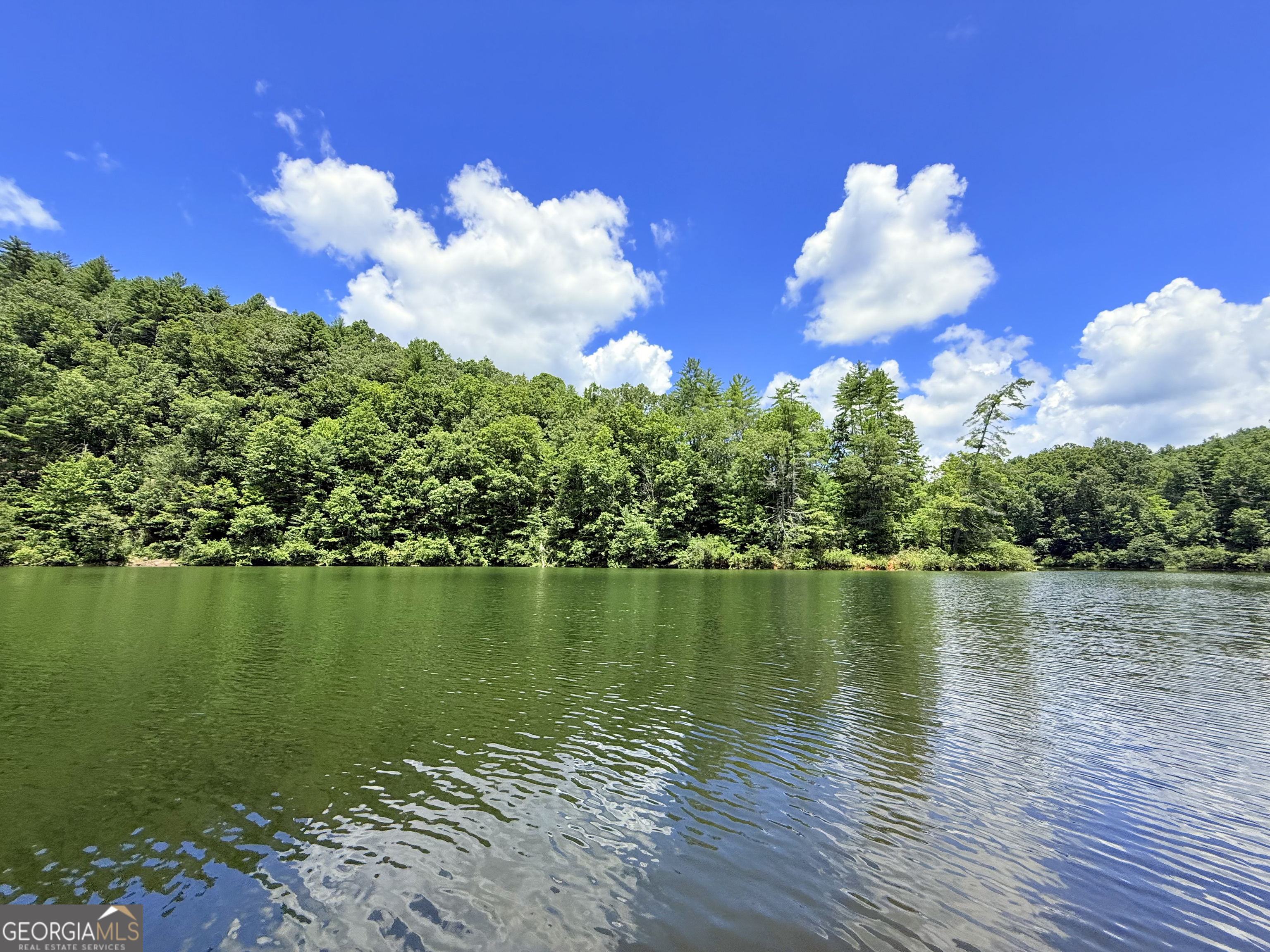79 River Overlook Lane S Ellijay GA 30540