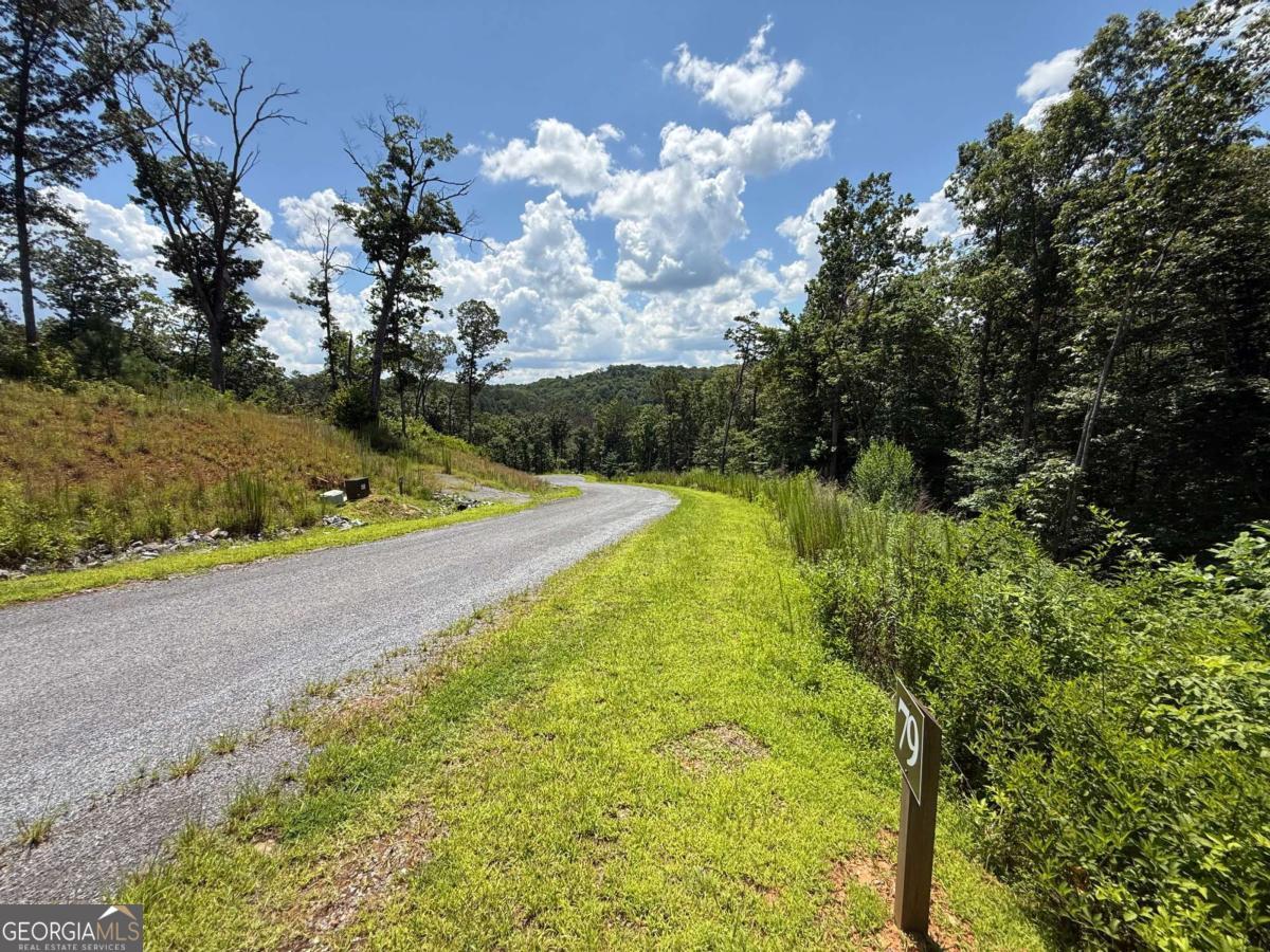 79 River Overlook Lane S Ellijay GA 30540