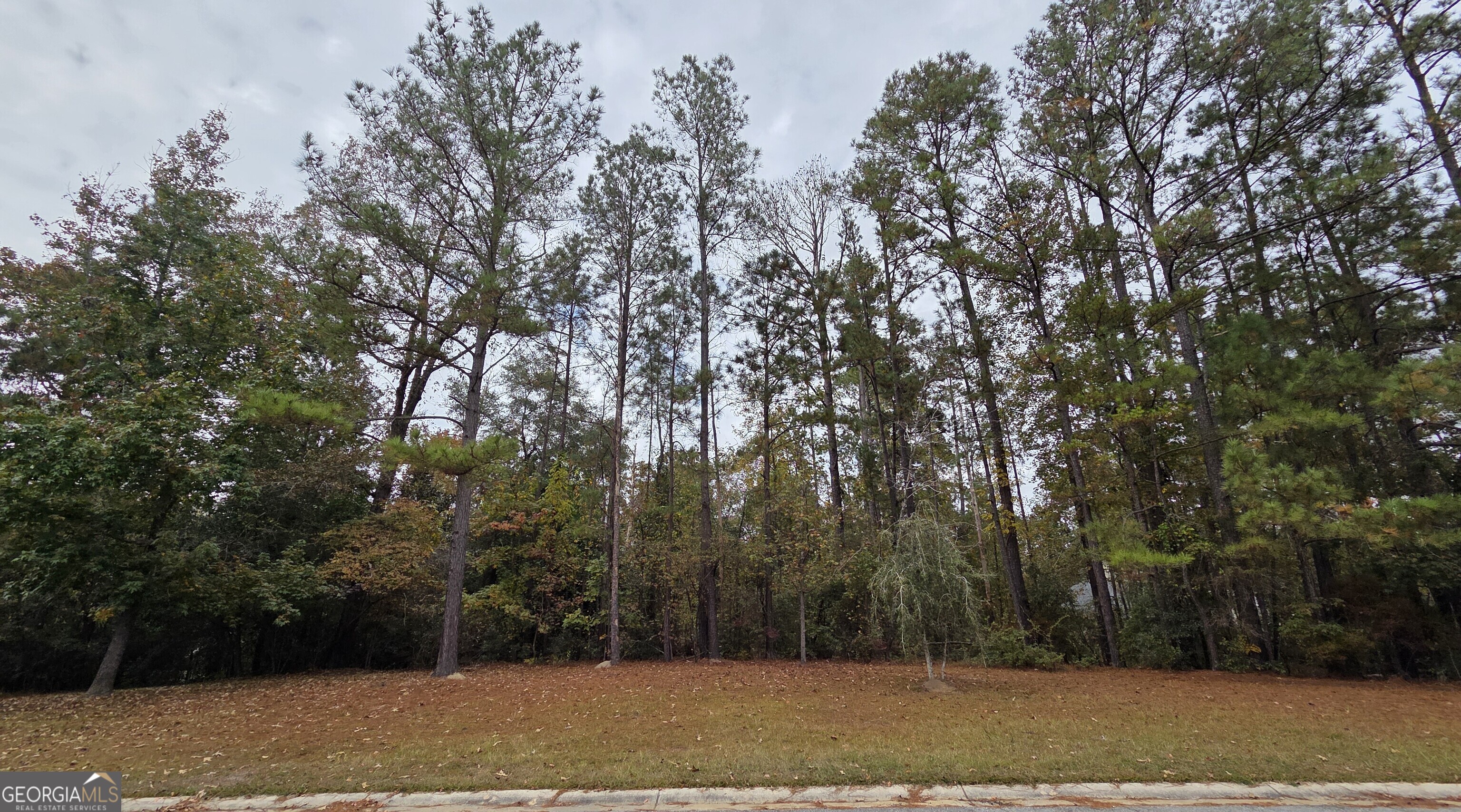 215 Falcon Crest Warner Robins GA 31088