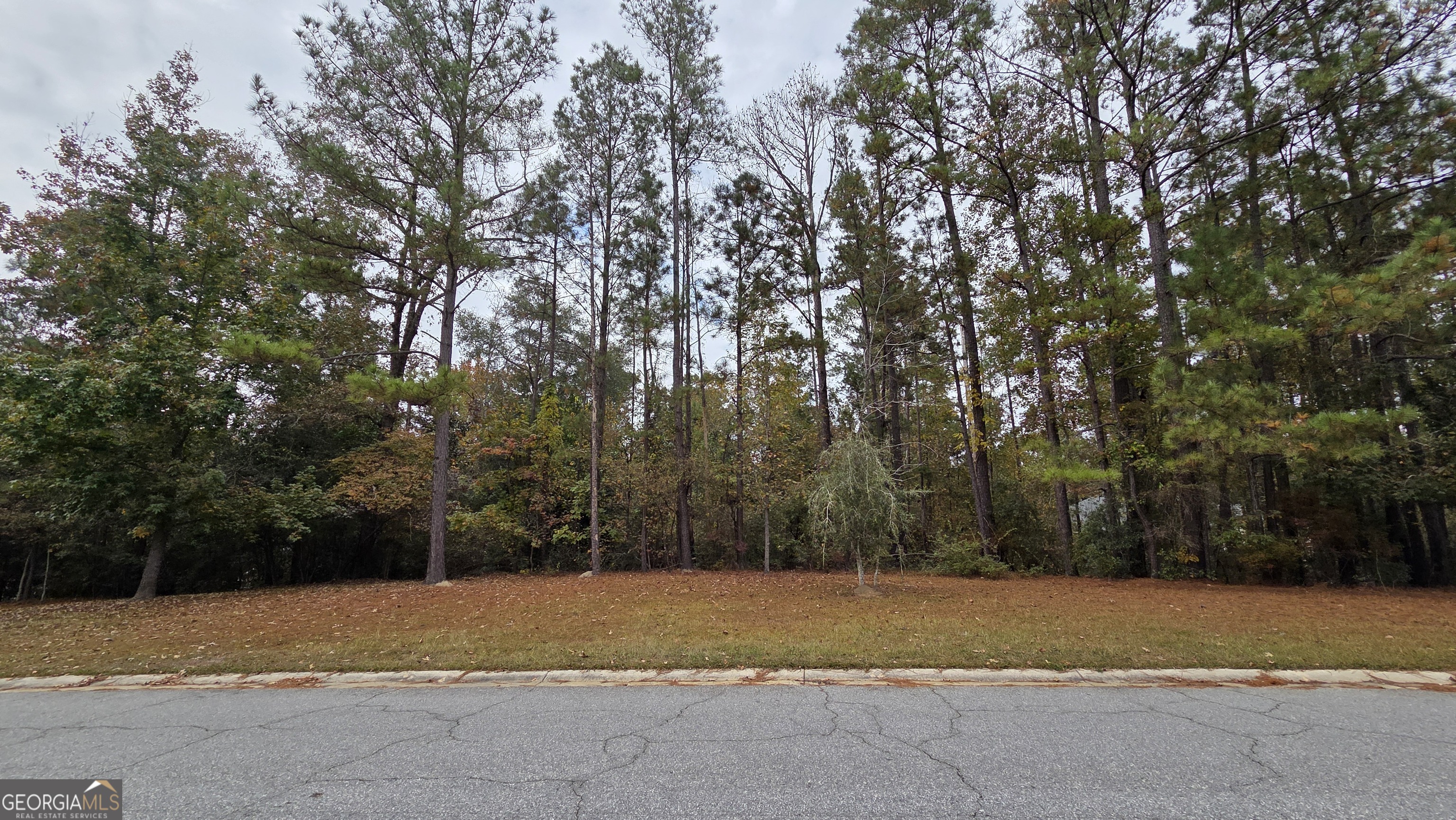 215 Falcon Crest Warner Robins GA 31088