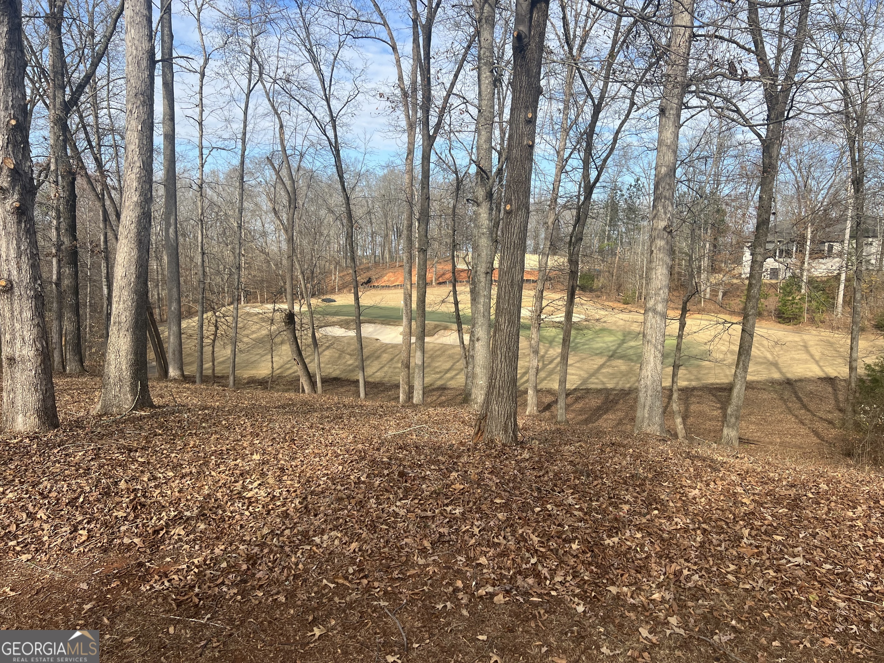 202 Equestrian Drive Forsyth GA 31029