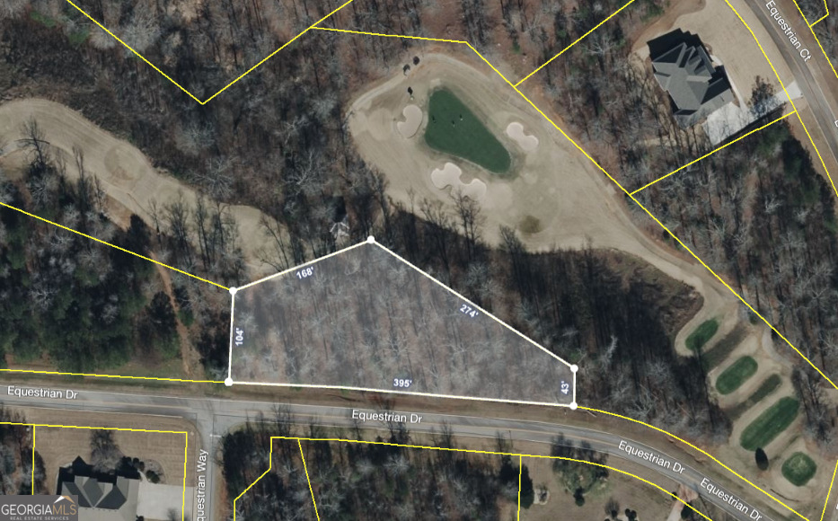 202 Equestrian Drive Forsyth GA 31029