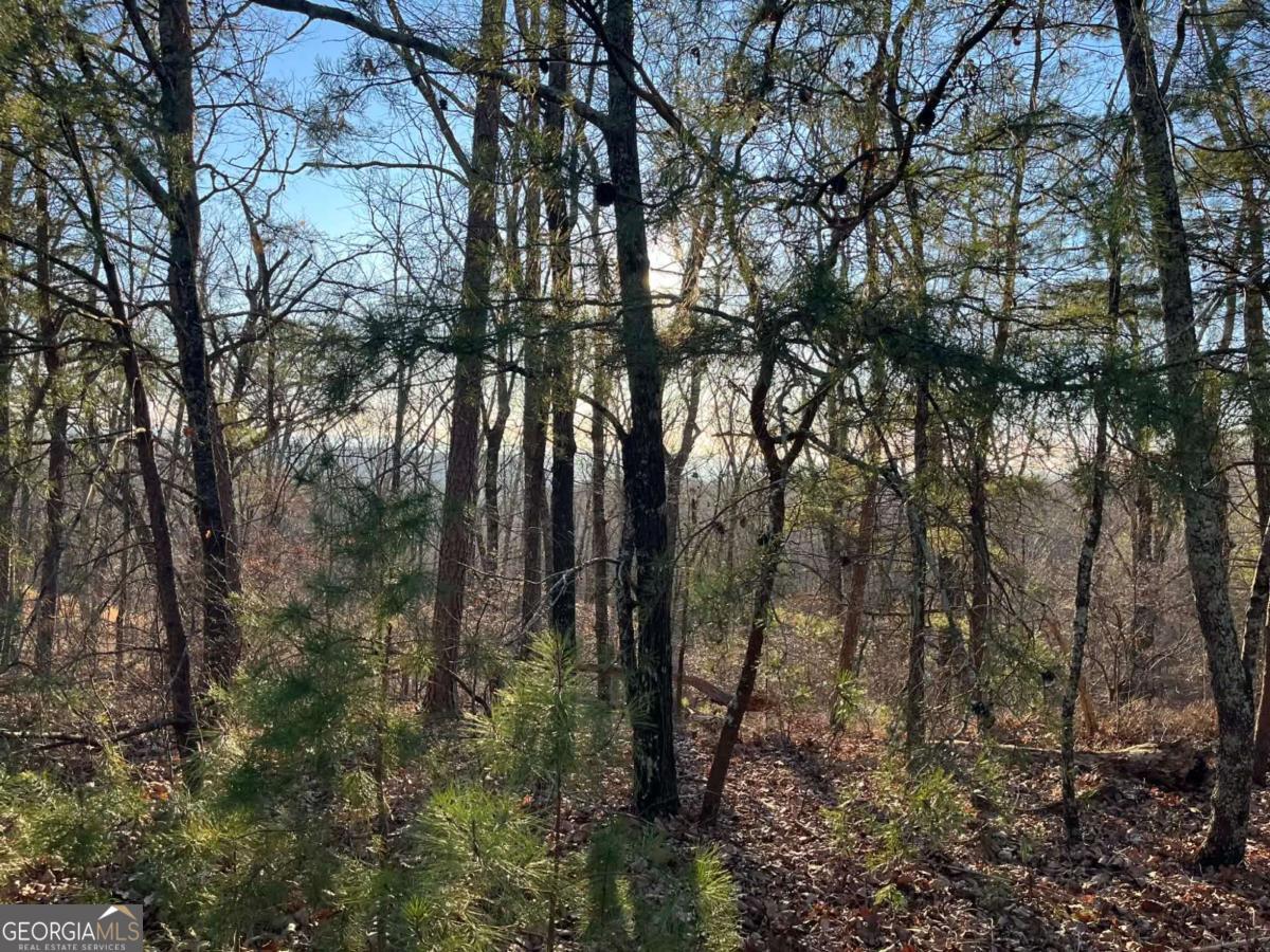 1171 Hunter Drive Ranger GA 30734