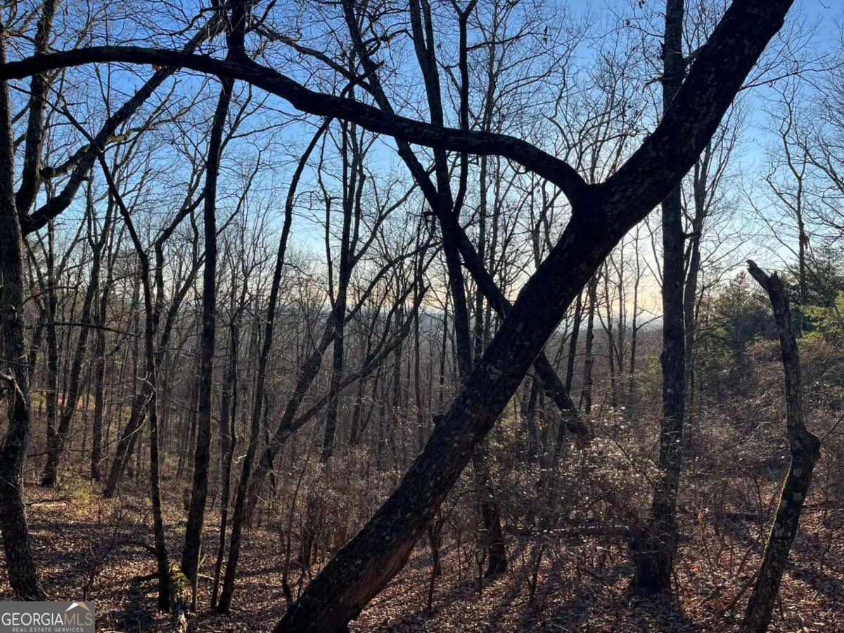 1171 Hunter Drive Ranger GA 30734