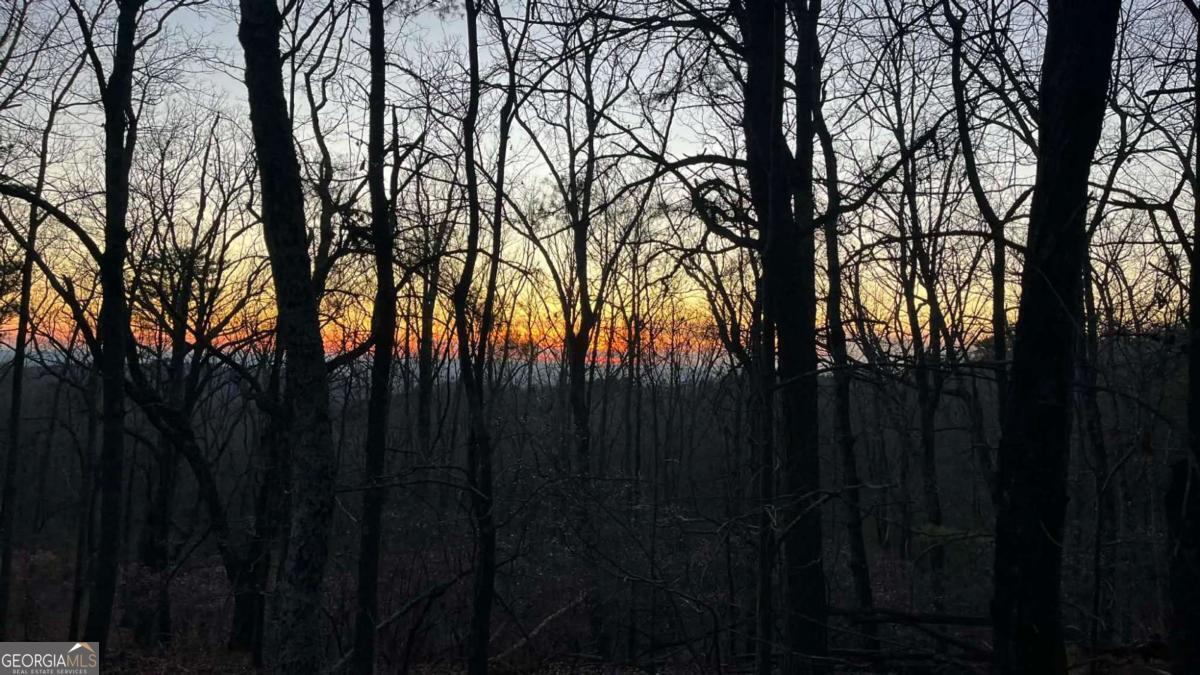 1171 Hunter Drive Ranger GA 30734