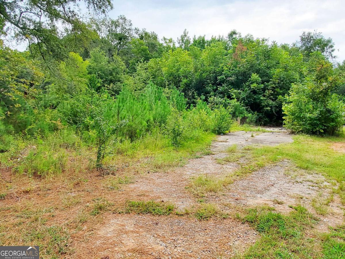 168 Peach Street Haddock GA 31033