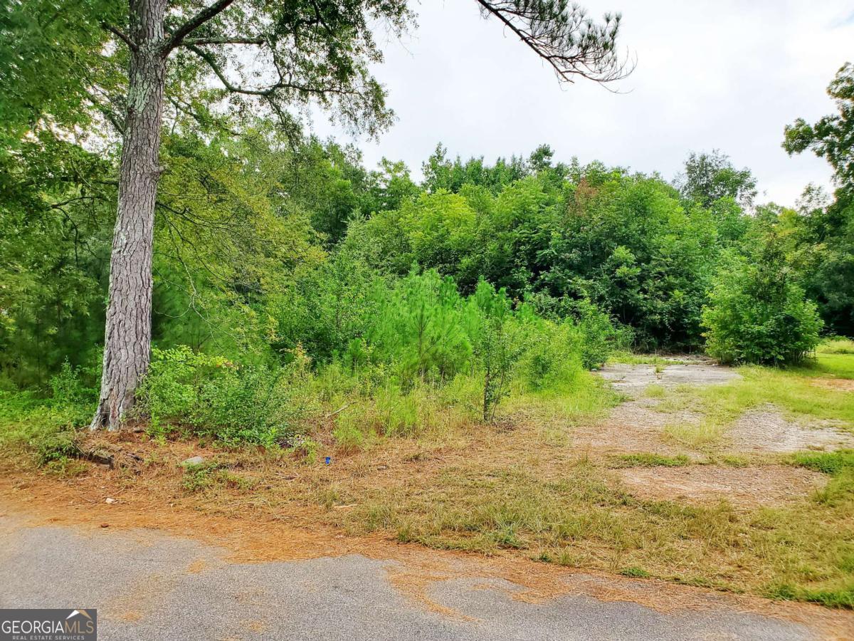 168 Peach Street Haddock GA 31033