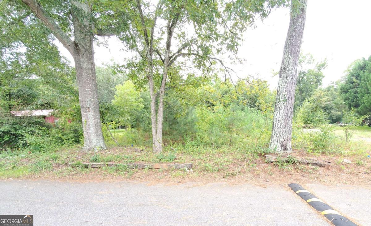 168 Peach Street Haddock GA 31033