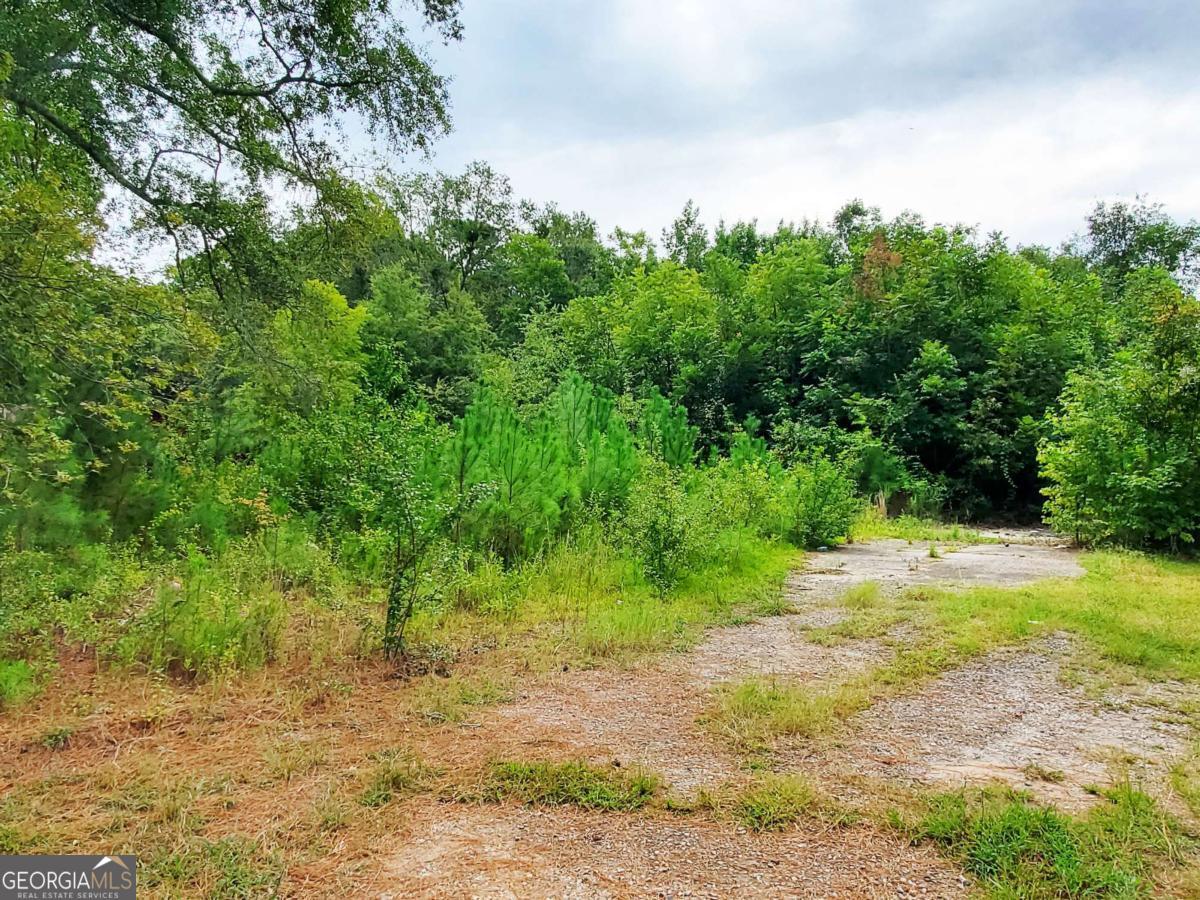 168 Peach Street Haddock GA 31033