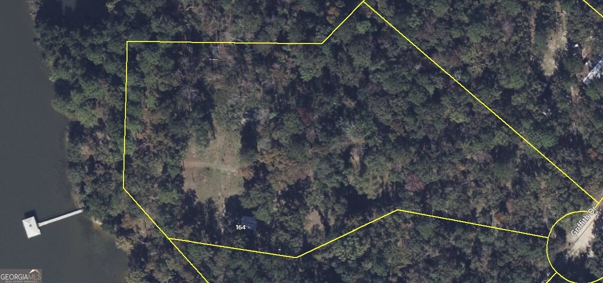 164 Griffith Drive Fort Gaines GA 39851
