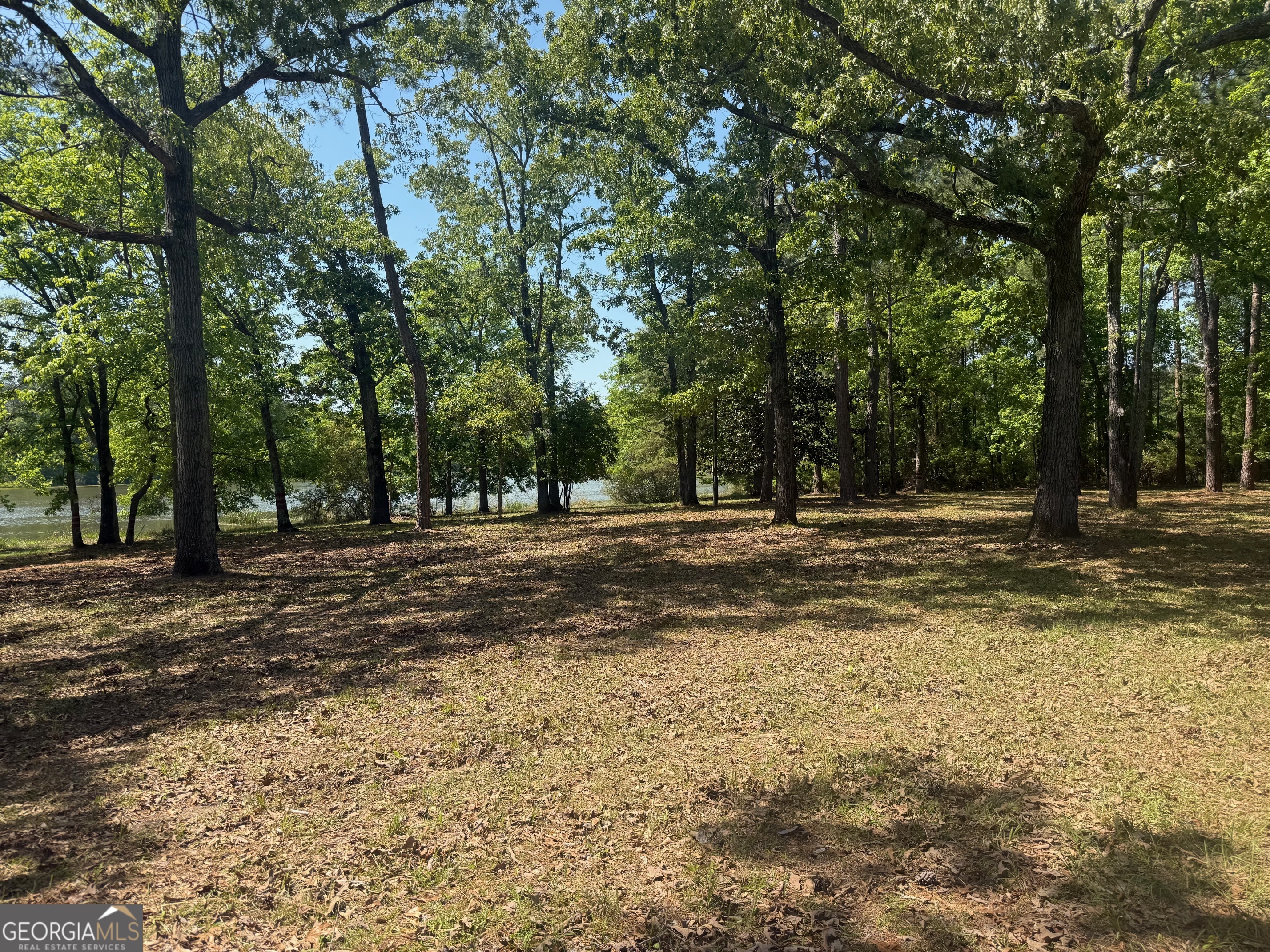 164 Griffith Drive Fort Gaines GA 39851