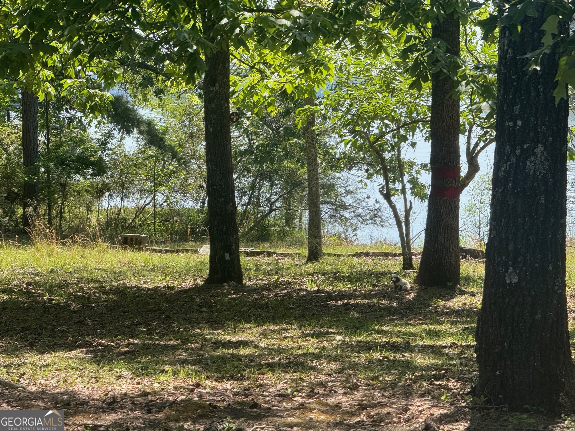 164 Griffith Drive Fort Gaines GA 39851