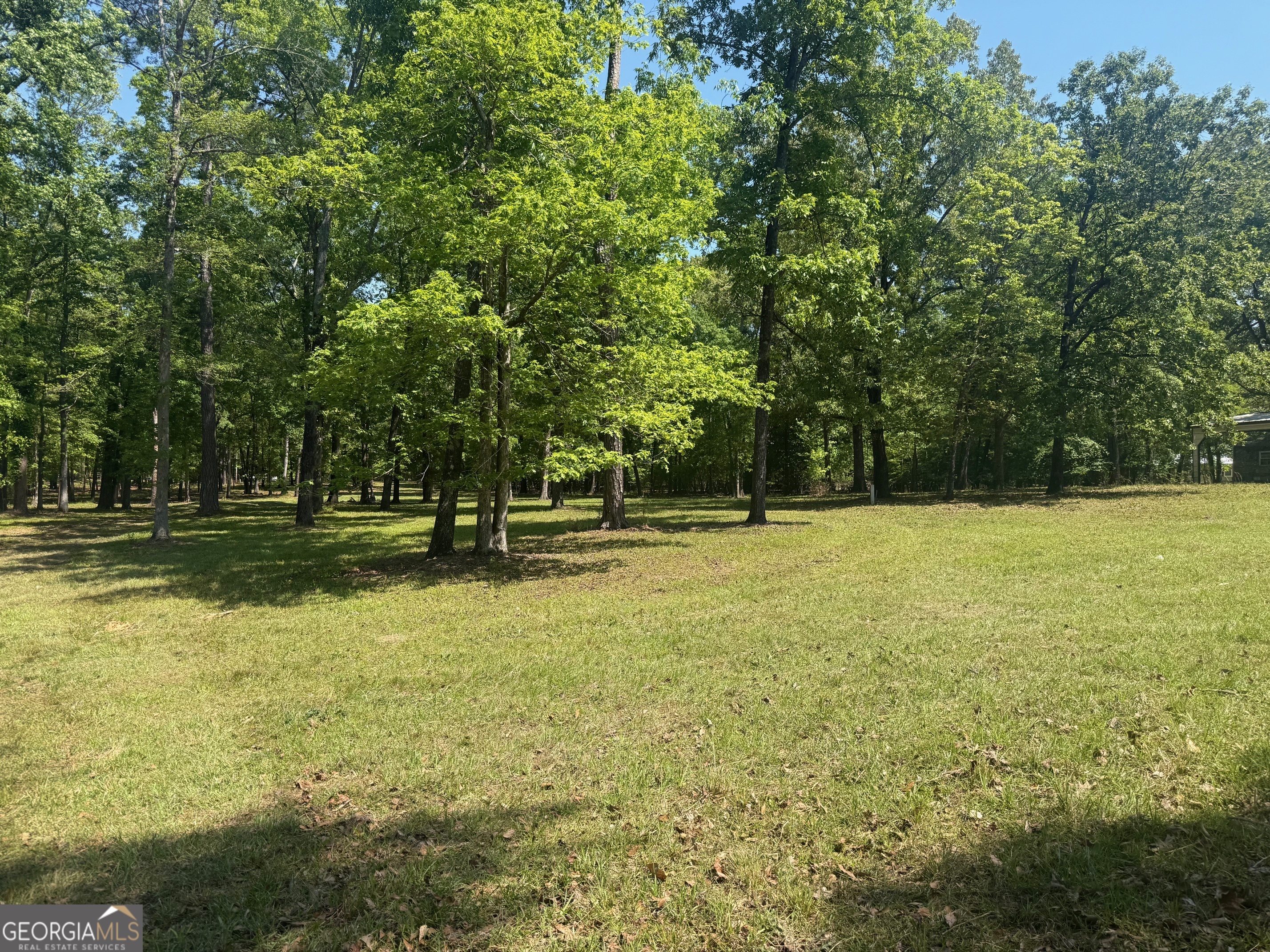164 Griffith Drive Fort Gaines GA 39851