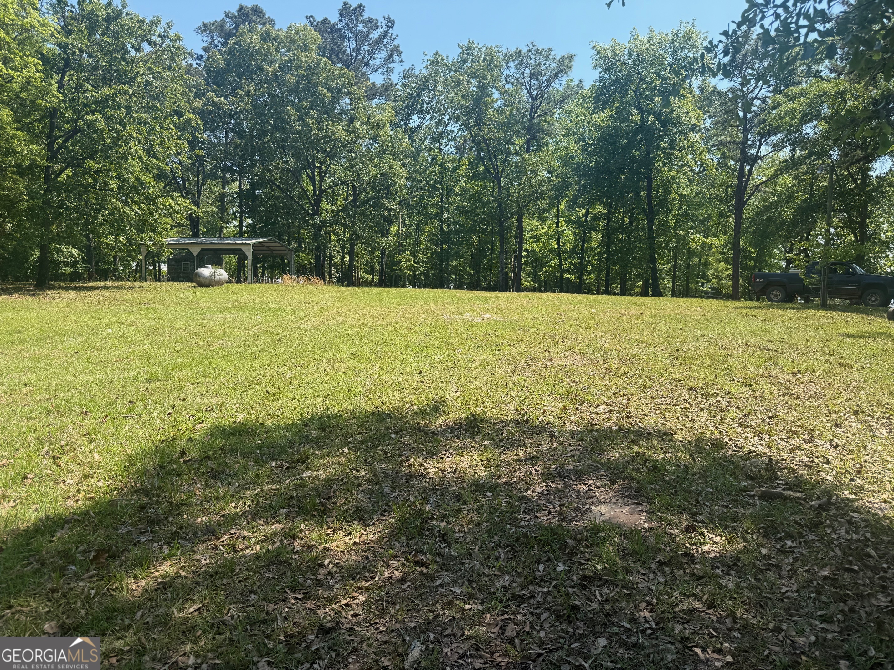 164 Griffith Drive Fort Gaines GA 39851
