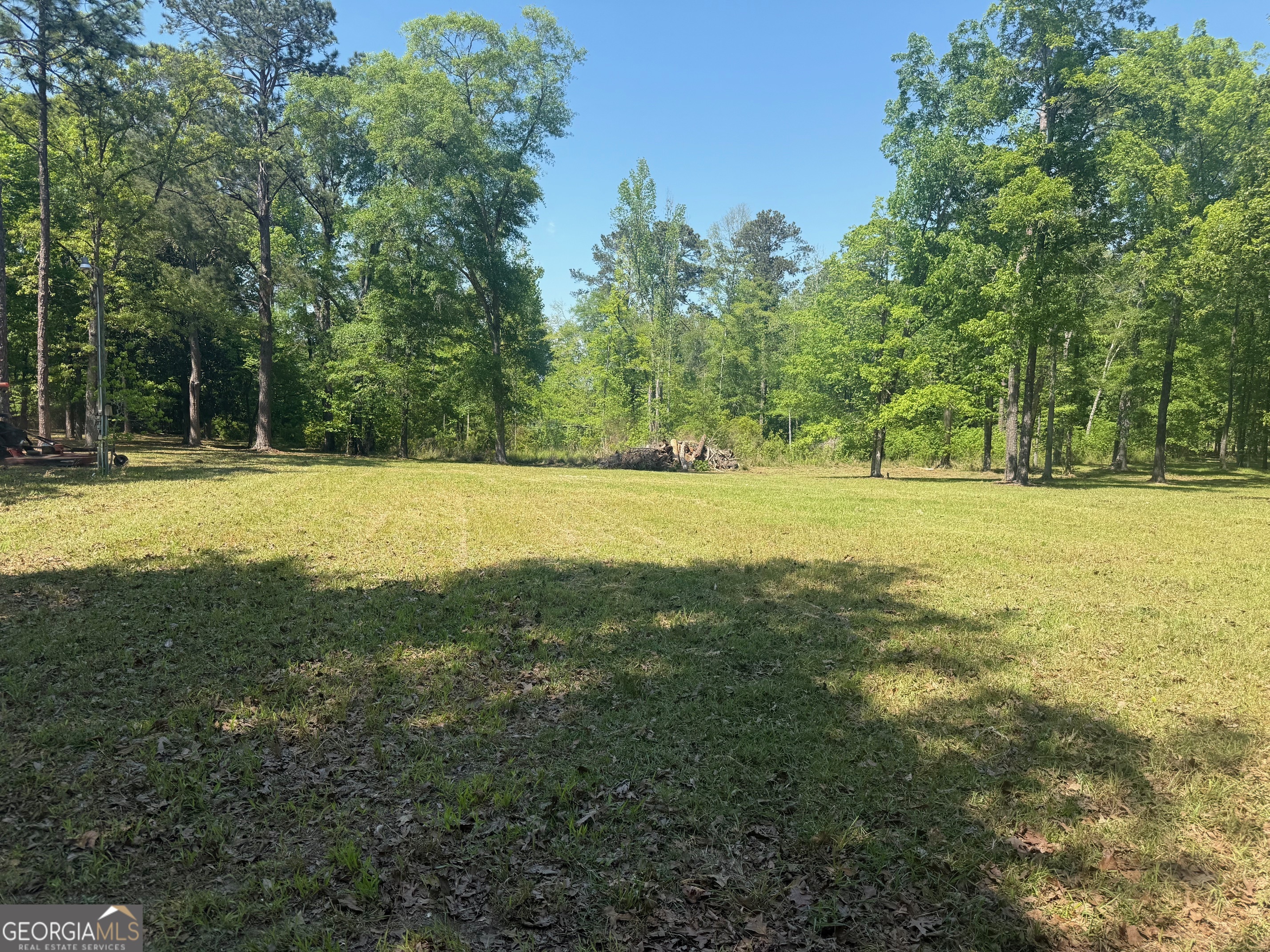 164 Griffith Drive Fort Gaines GA 39851
