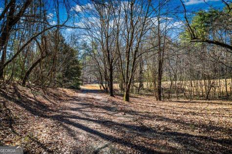 Tract C Captains Cove Blairsville GA 30512
