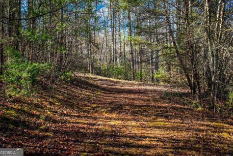 Tract C Captains Cove Blairsville GA 30512