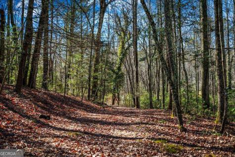 Tract C Captains Cove Blairsville GA 30512
