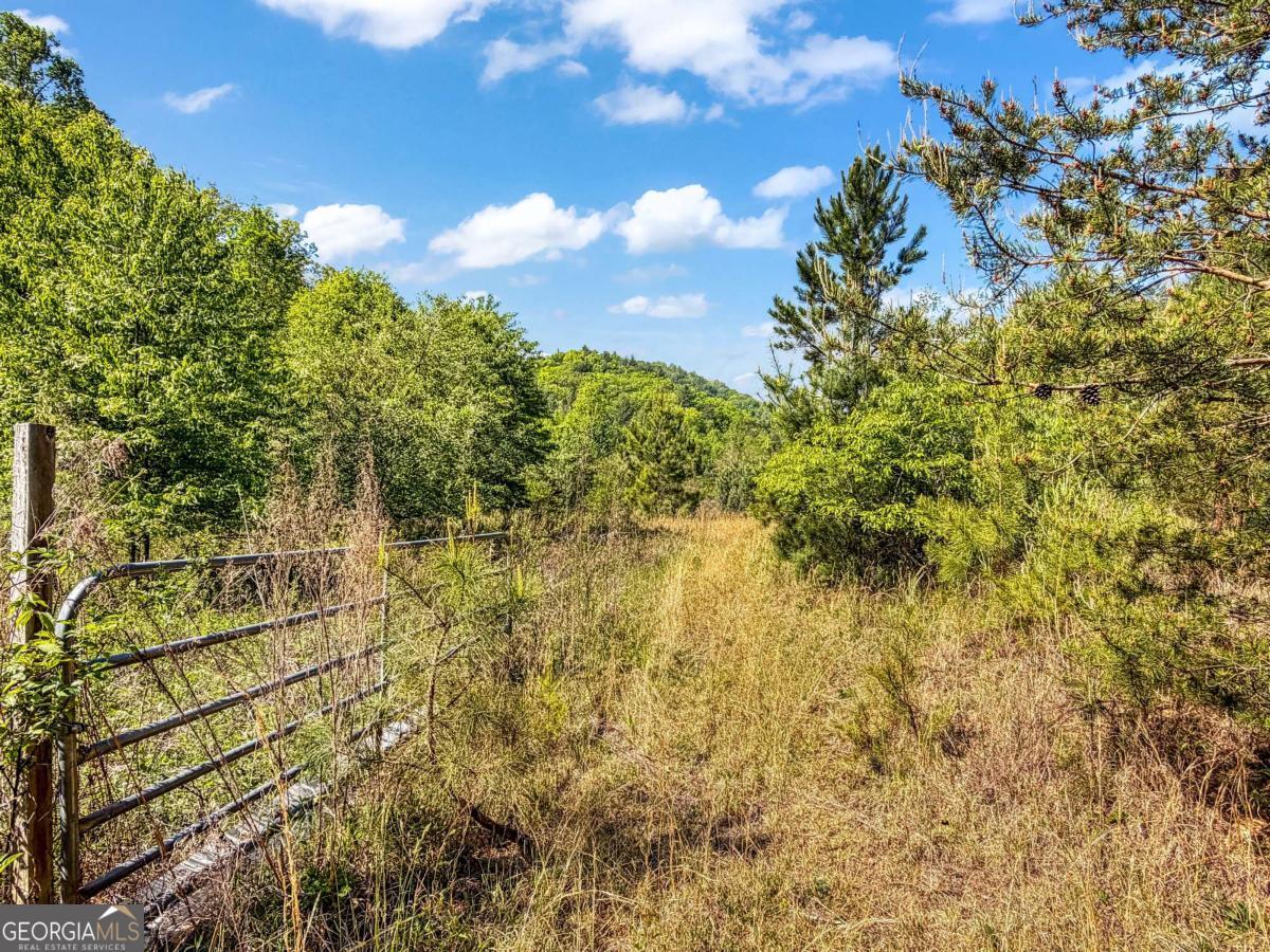 80 Acres Valley Lake Road Mineral Bluff GA 30559