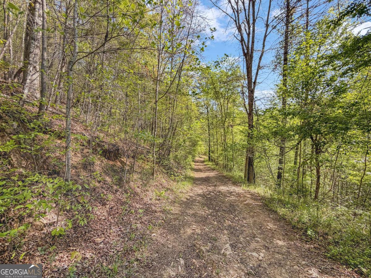 80 Acres Valley Lake Road Mineral Bluff GA 30559