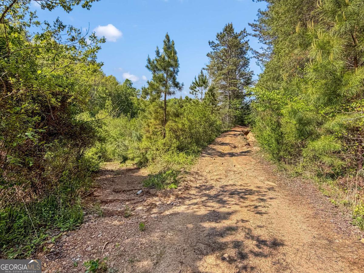 80 Acres Valley Lake Road Mineral Bluff GA 30559